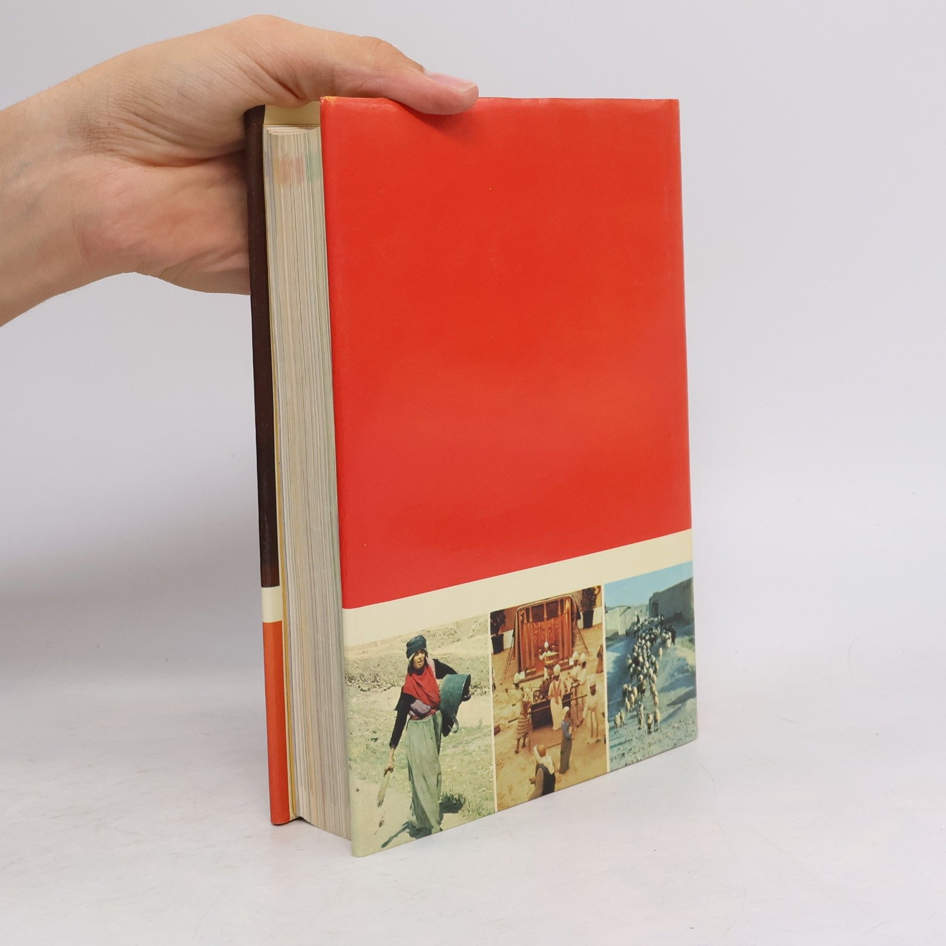 David Alexander Handbuch zur Bibel