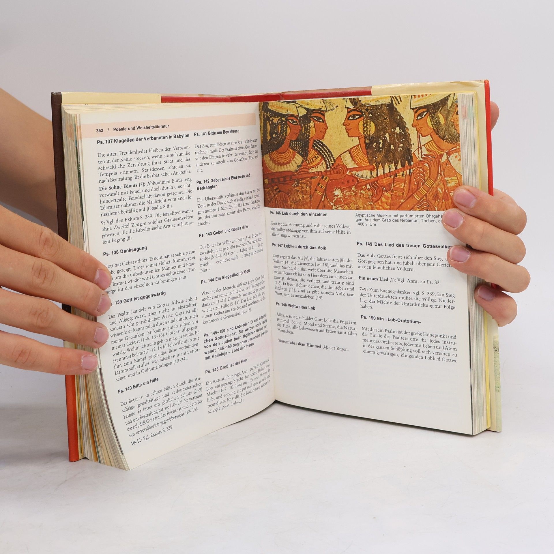 David Alexander Handbuch zur Bibel