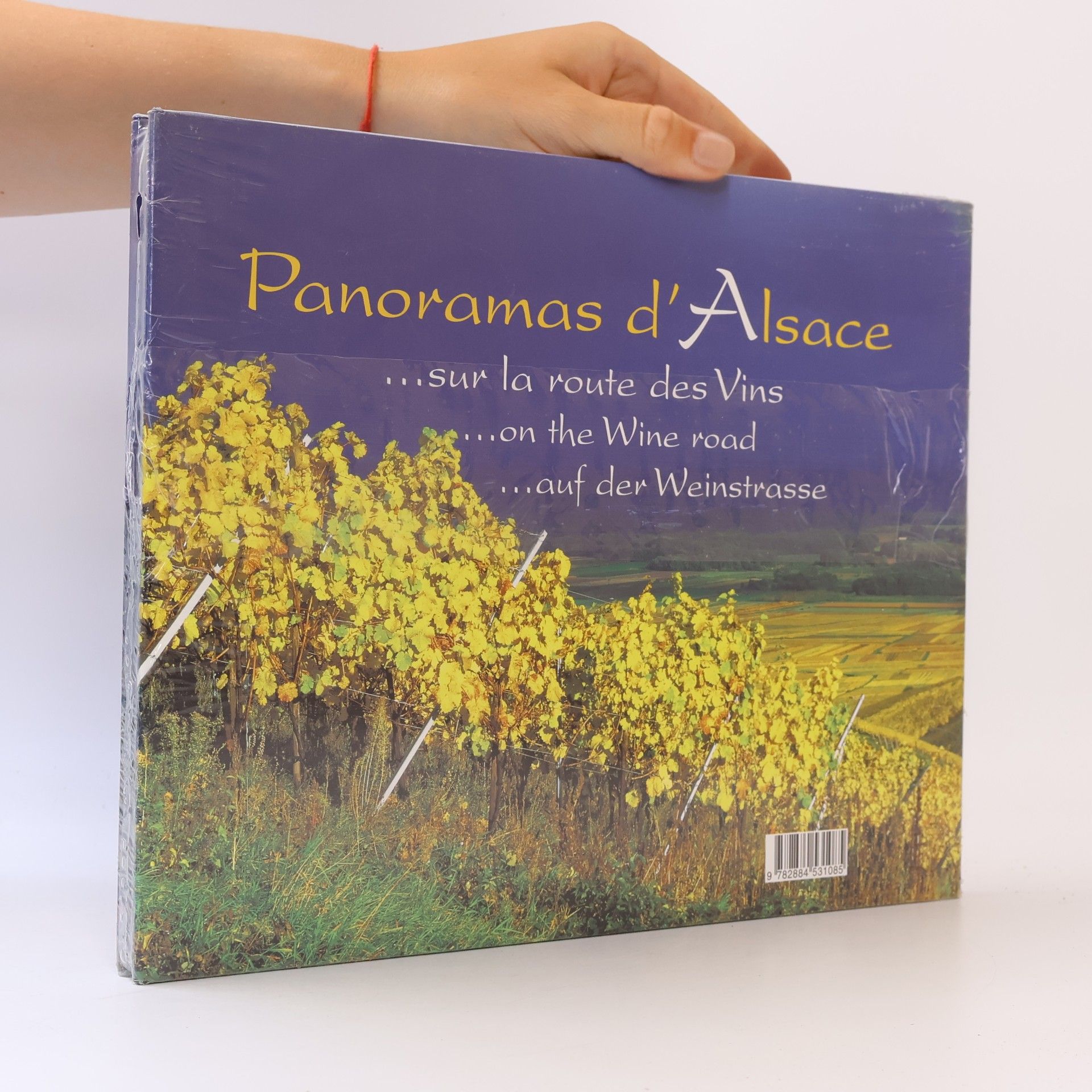 Monique Mangold Panoramas d'Alsace