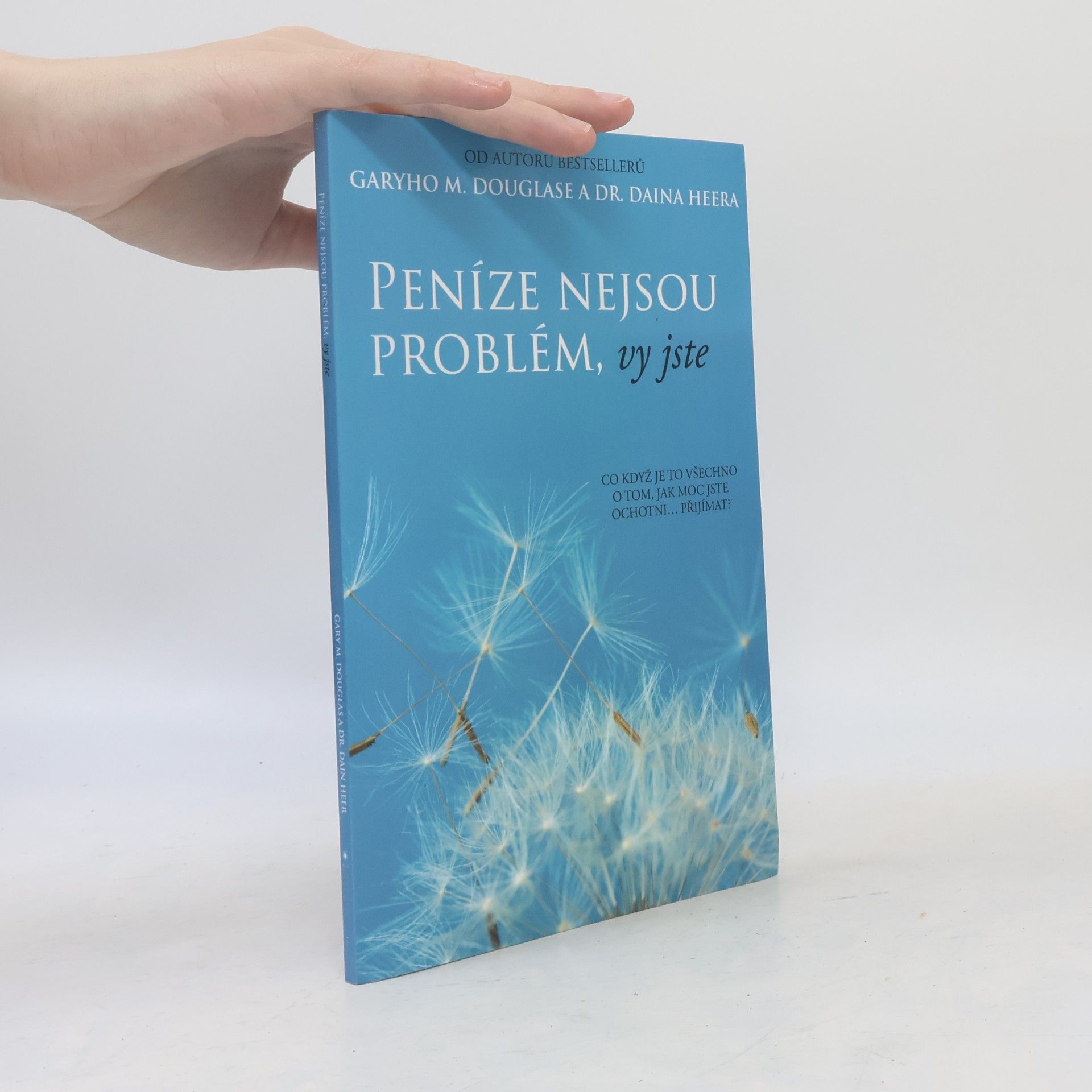 Dain Heer Peníze nejsou problém, vy jste