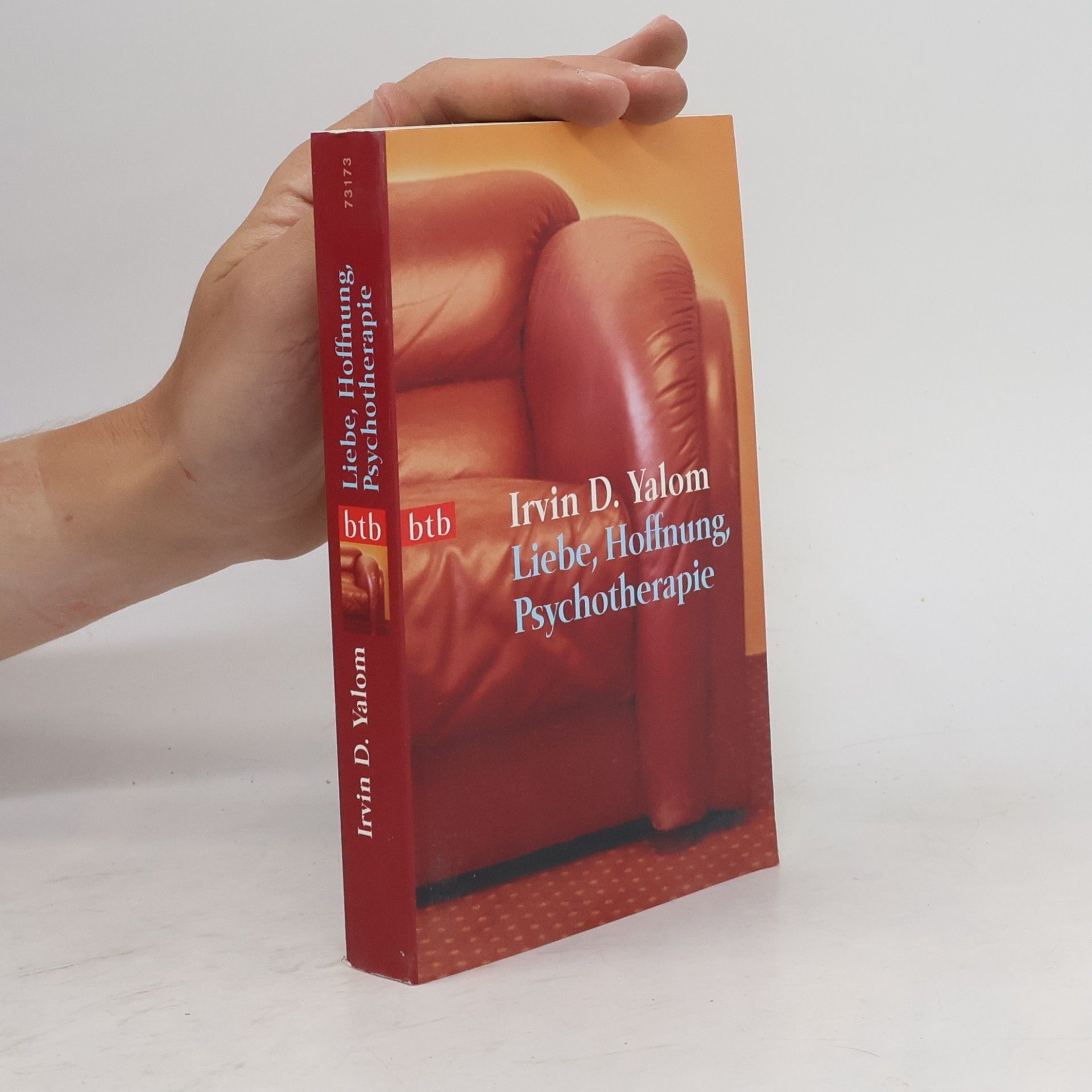 Irvin Yalom Liebe, Hoffnung, Psychotherapie