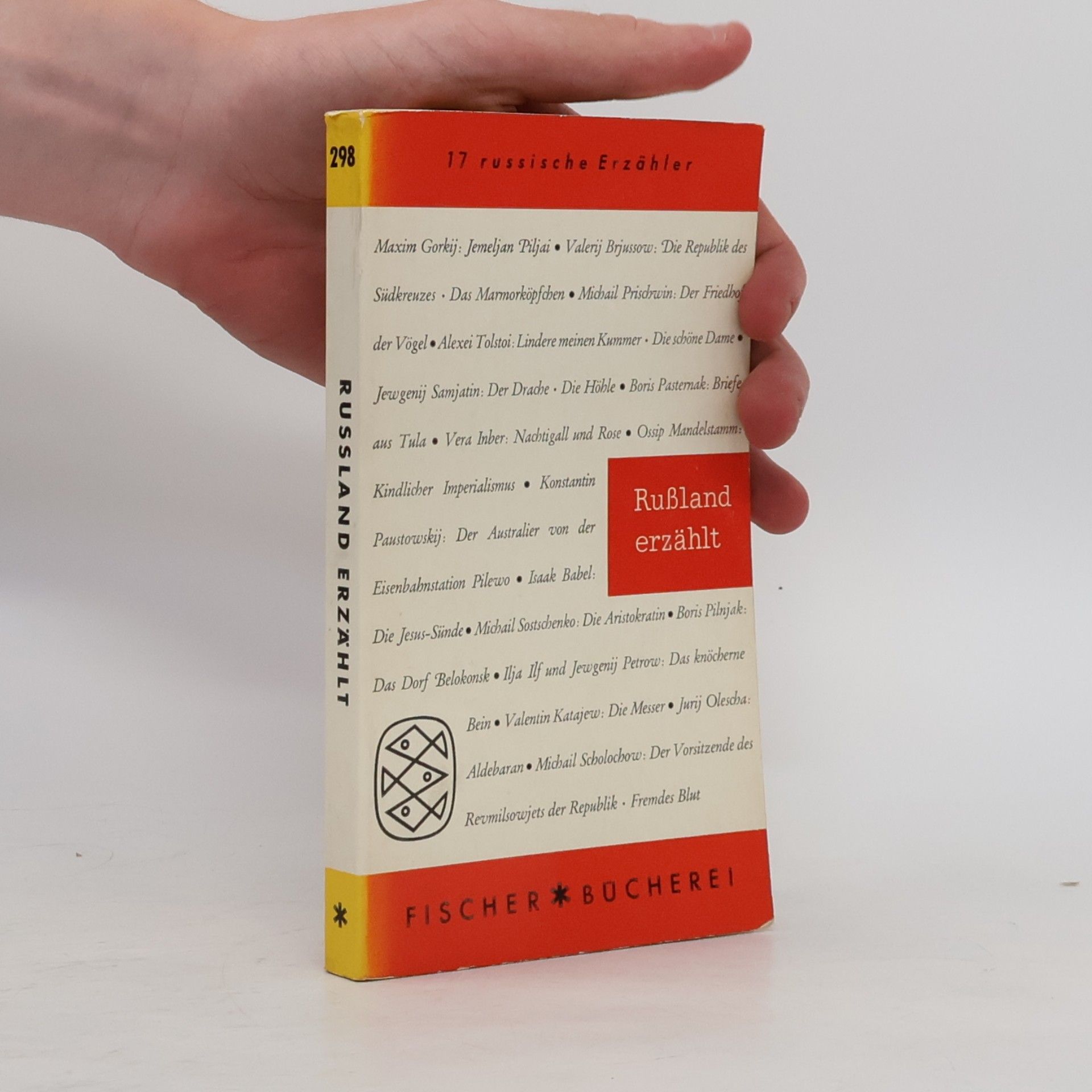 Collectif d'auteurs Rußland erzählt