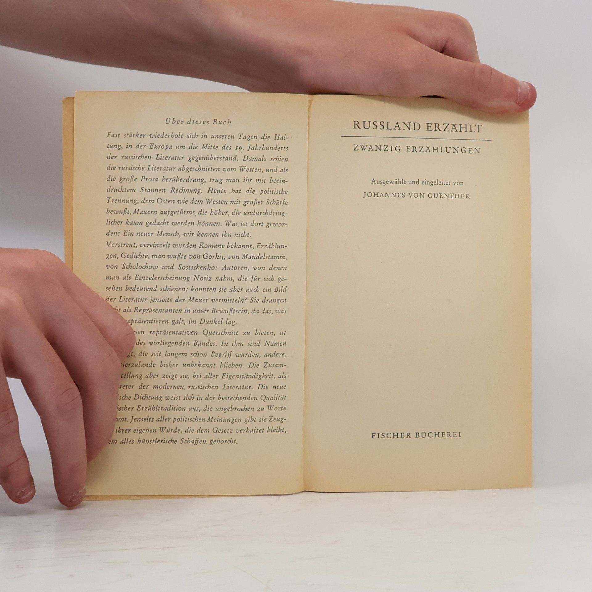 Collectif d'auteurs Rußland erzählt