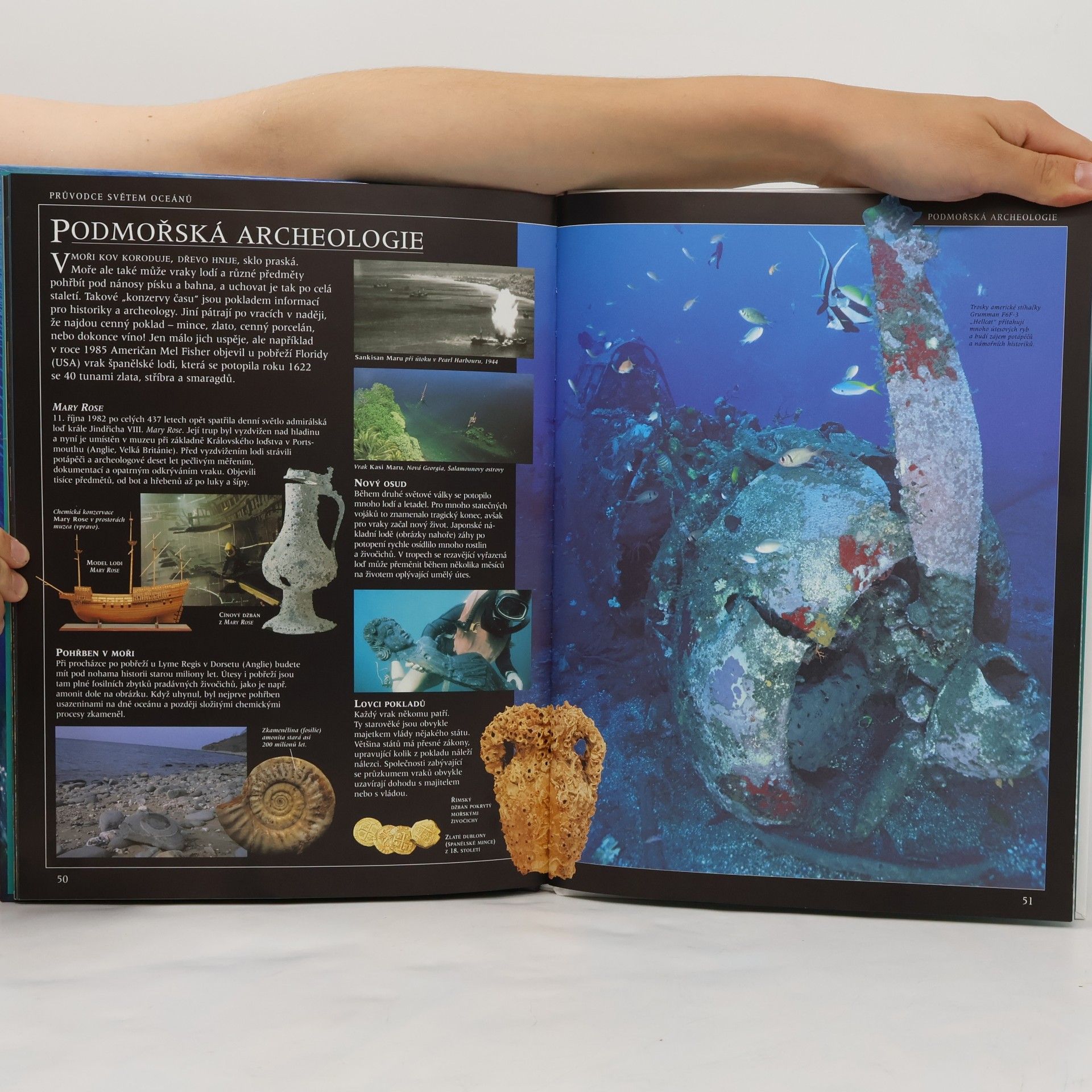 Frances Dipper Průvodce světem oceánů
