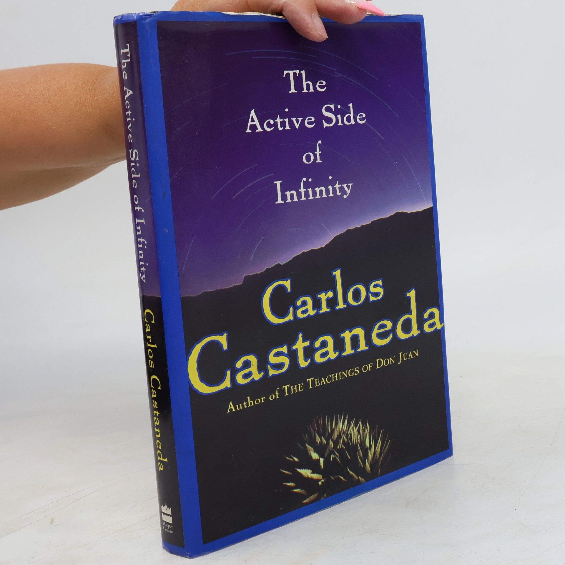Carlos Castañeda The Active Side of Infinity