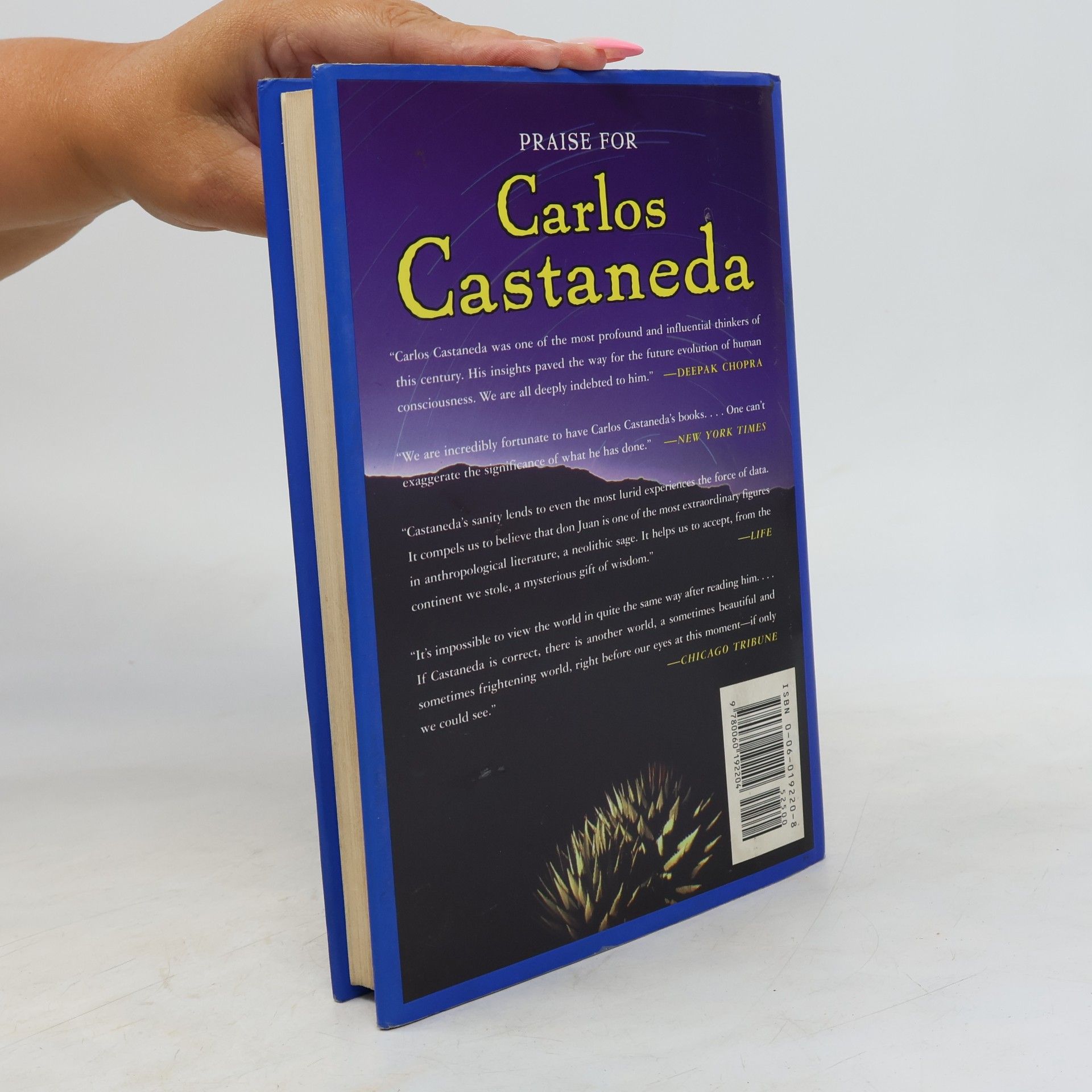 Carlos Castañeda The Active Side of Infinity