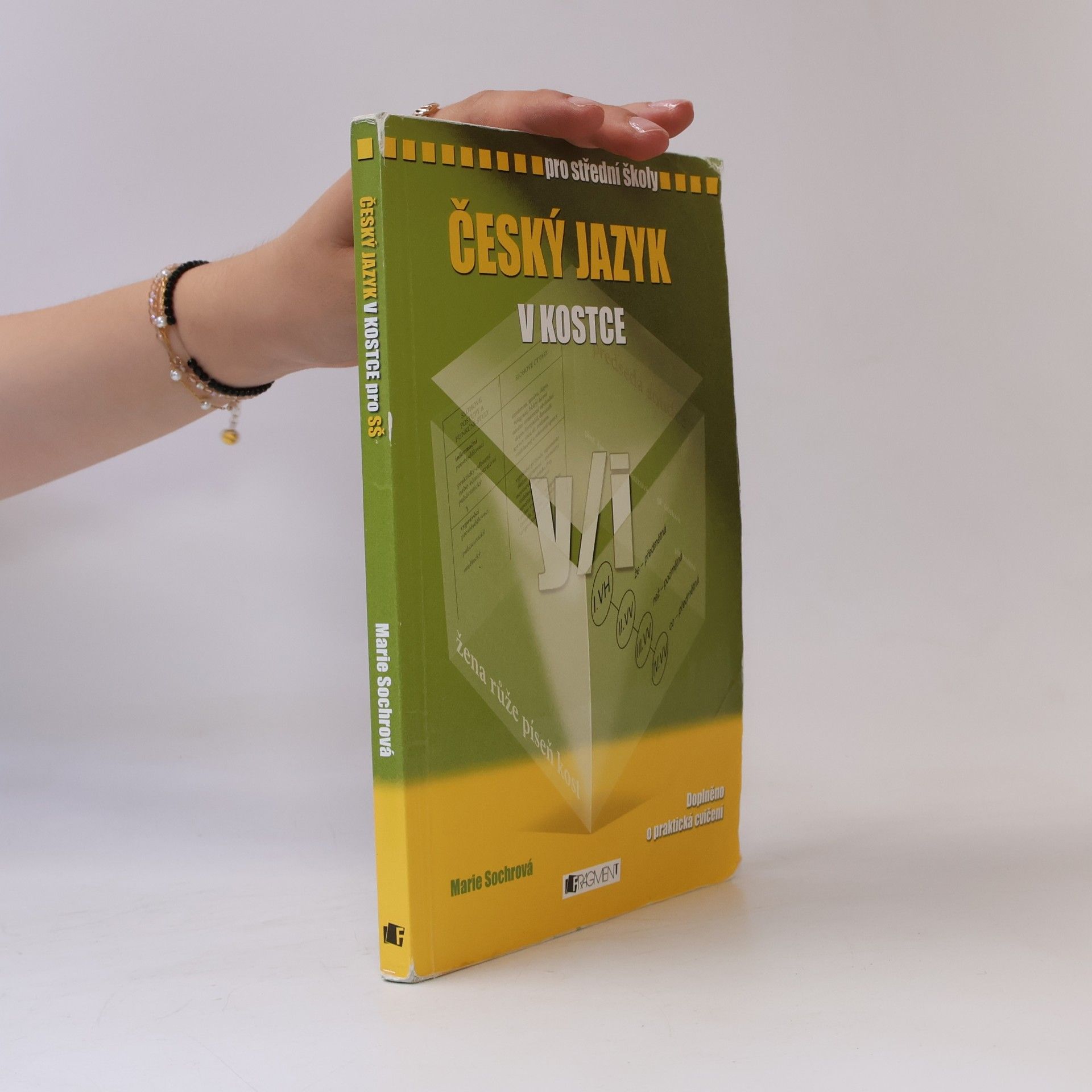 Marie Sochrová Český jazyk v kostce pro SŠ