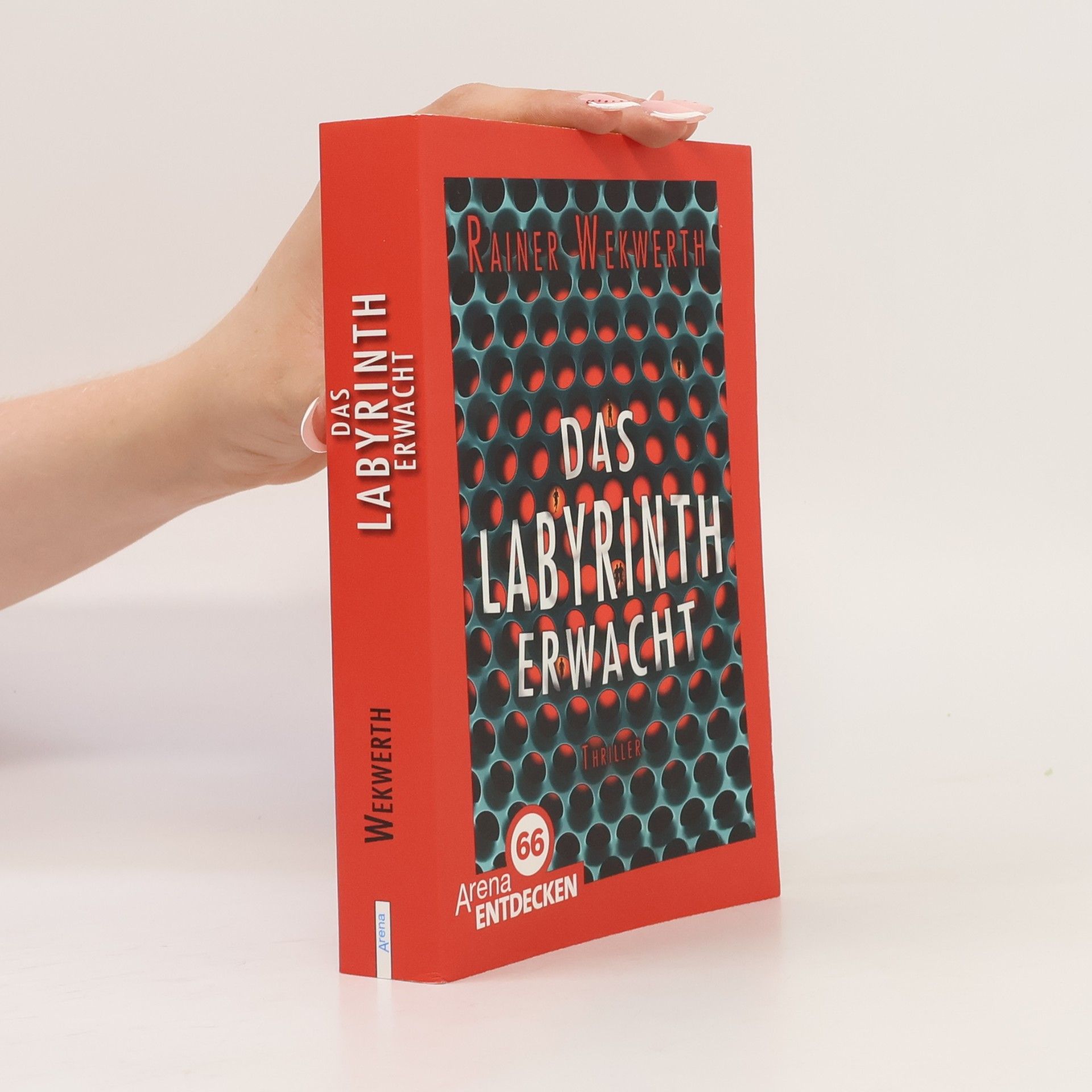 Rainer Wekwerth Das Labyrinth erwacht