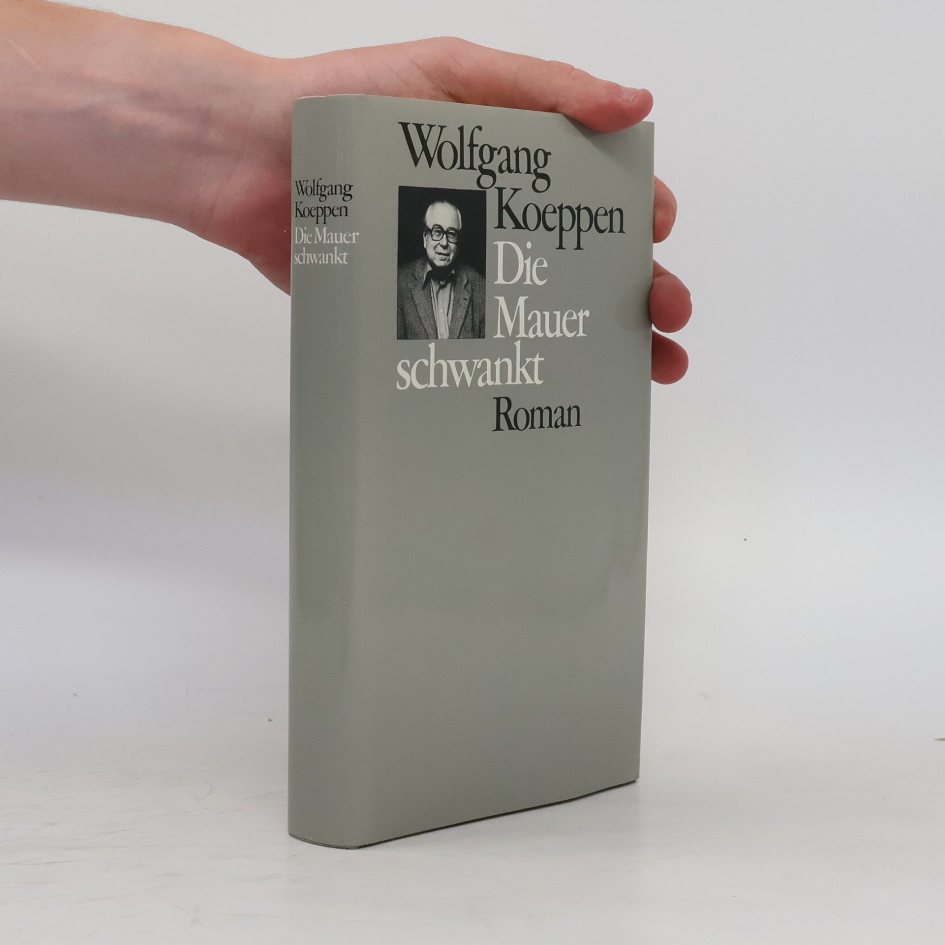 Wolfgang Koeppen Die Mauer schwankt