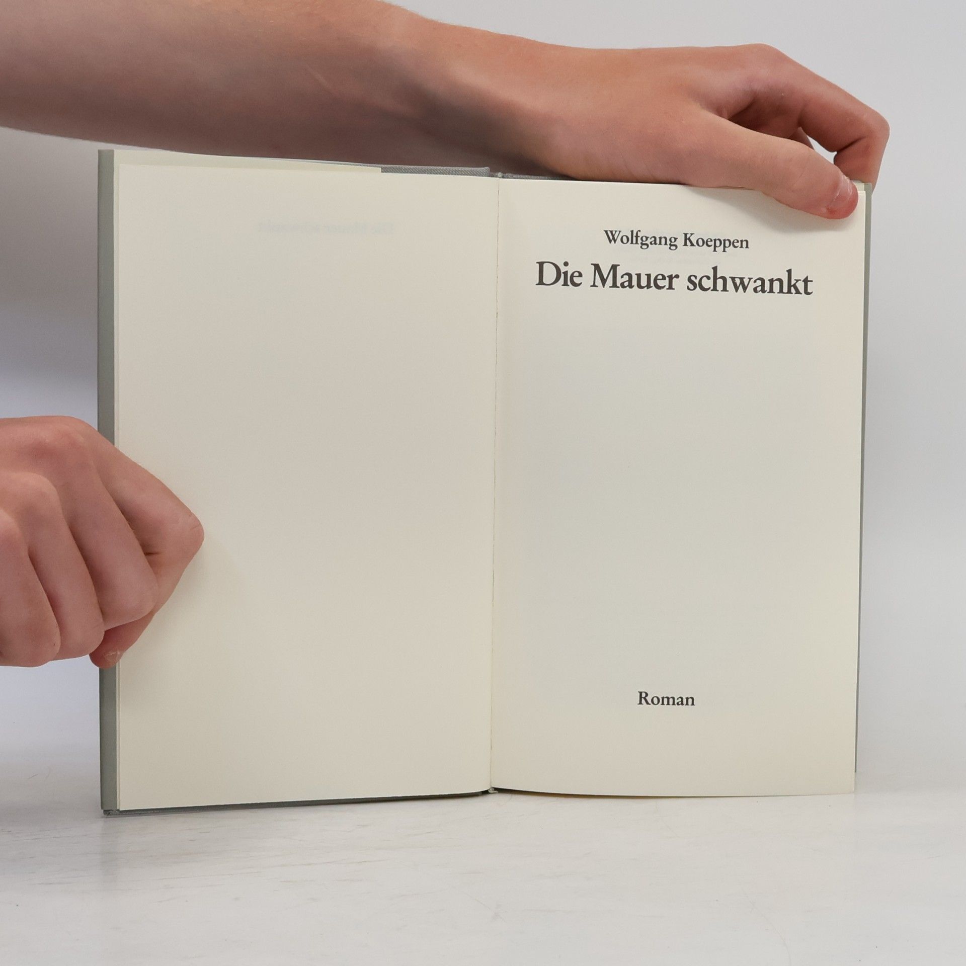 Wolfgang Koeppen Die Mauer schwankt