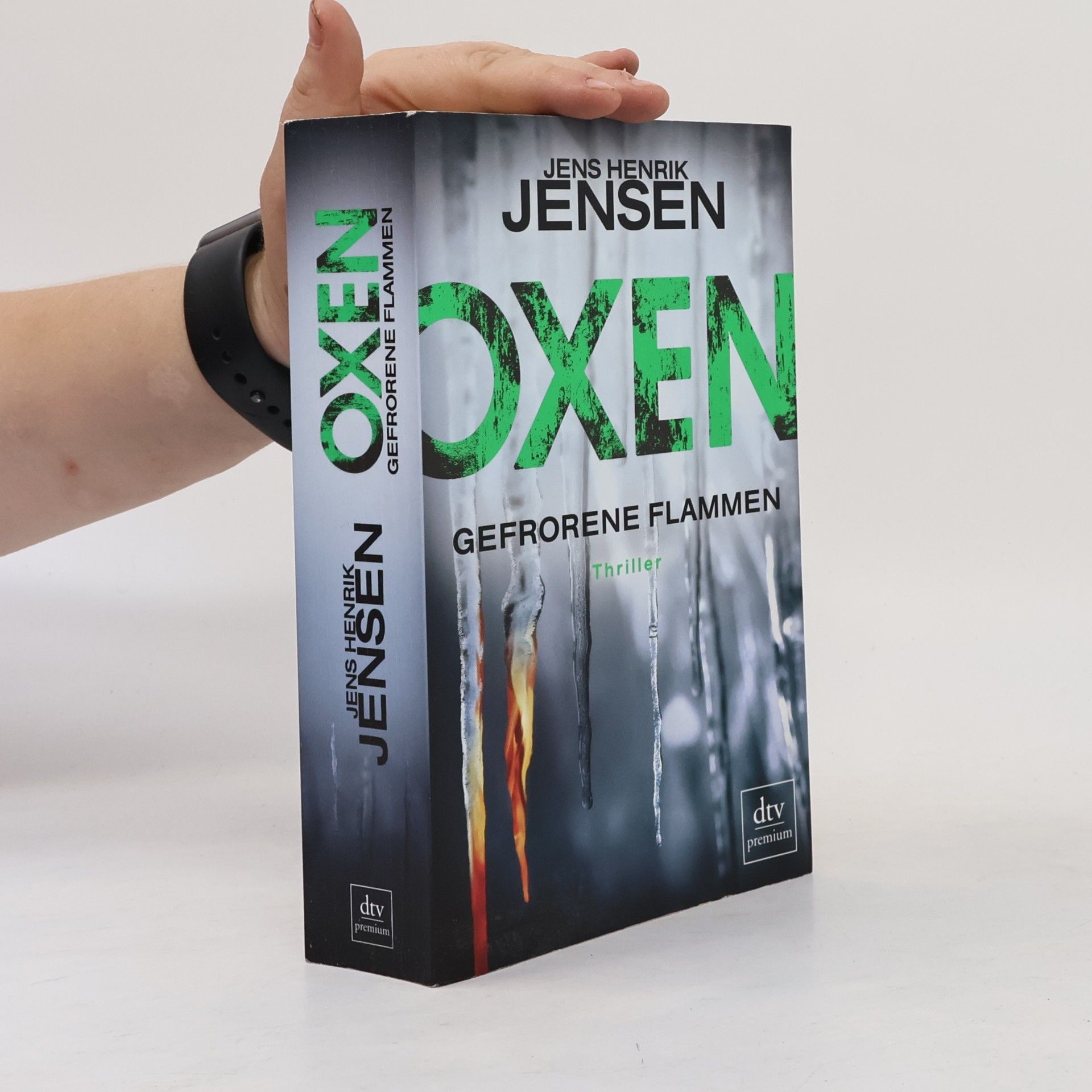 Jens Henrik Jensen Oxen - gefrorene Flammen