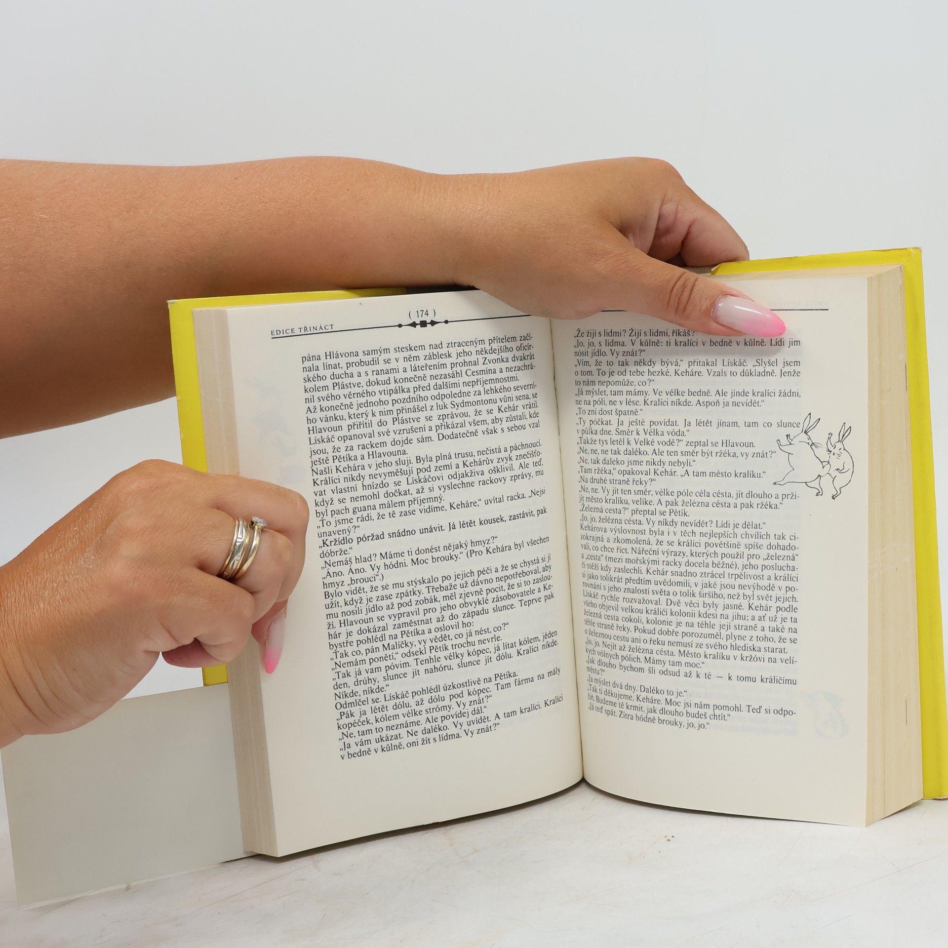 Richard Adams Daleká cesta za domovem
