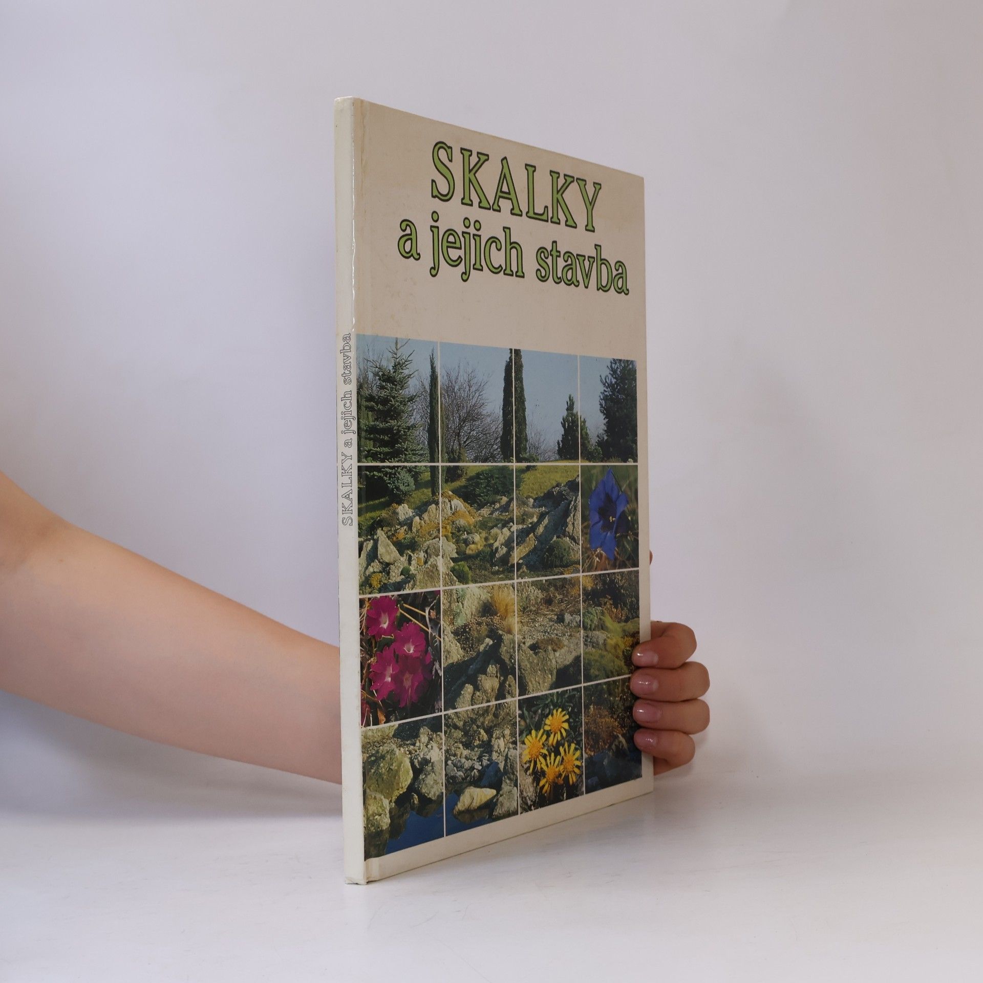 Ota Vlasák Skalky a jejich stavba