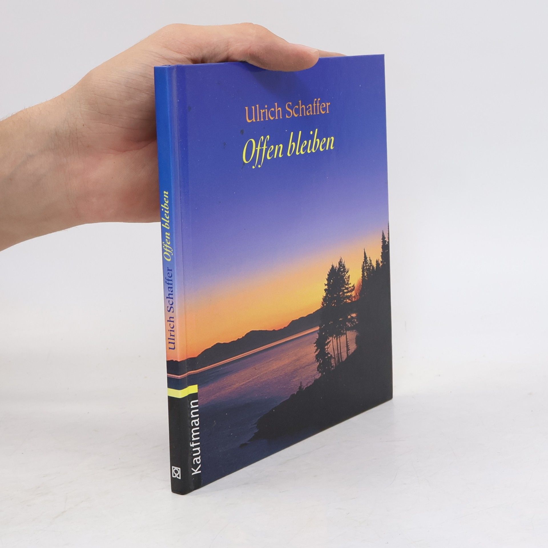 Ulrich Schaffer Offen bleiben