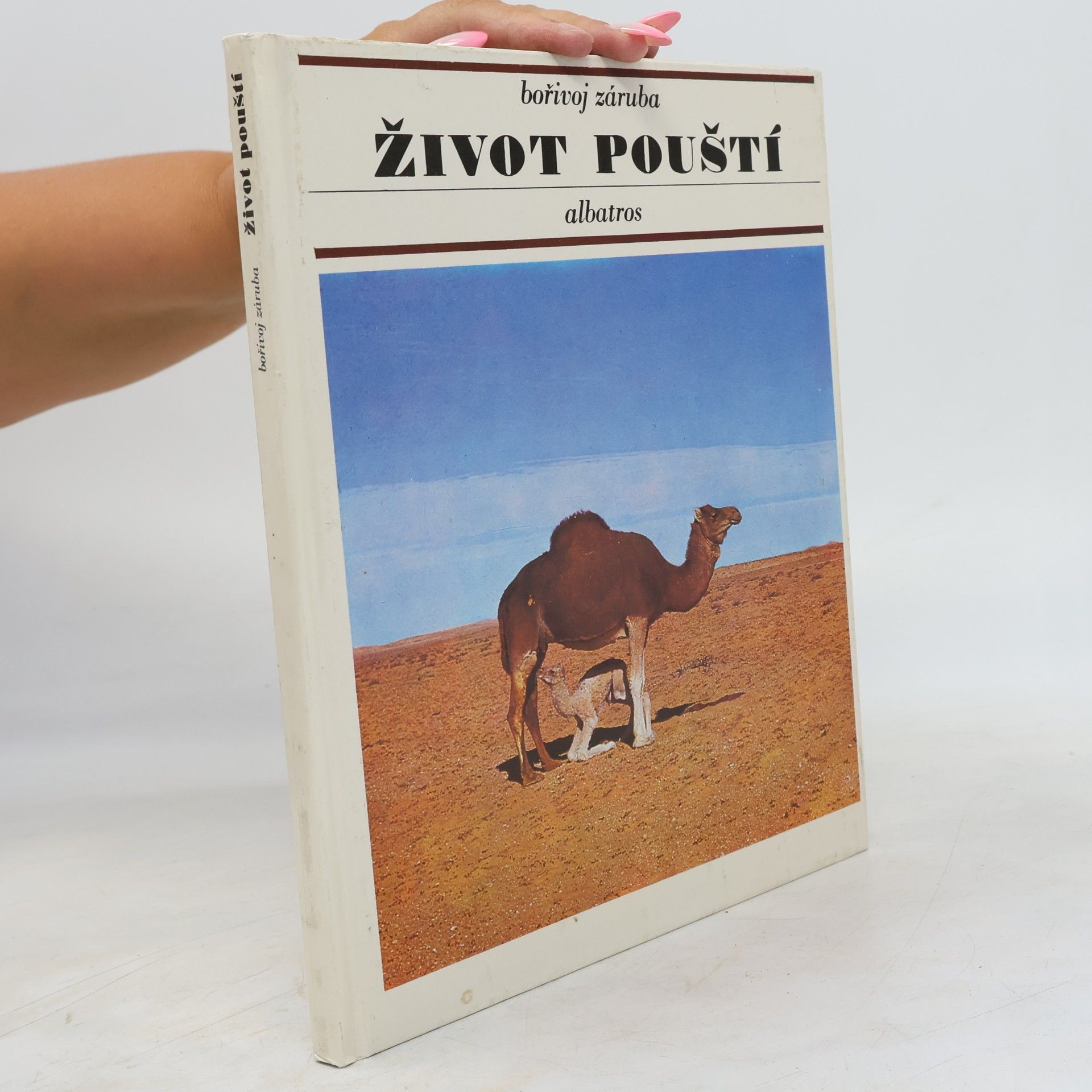 Život pouští