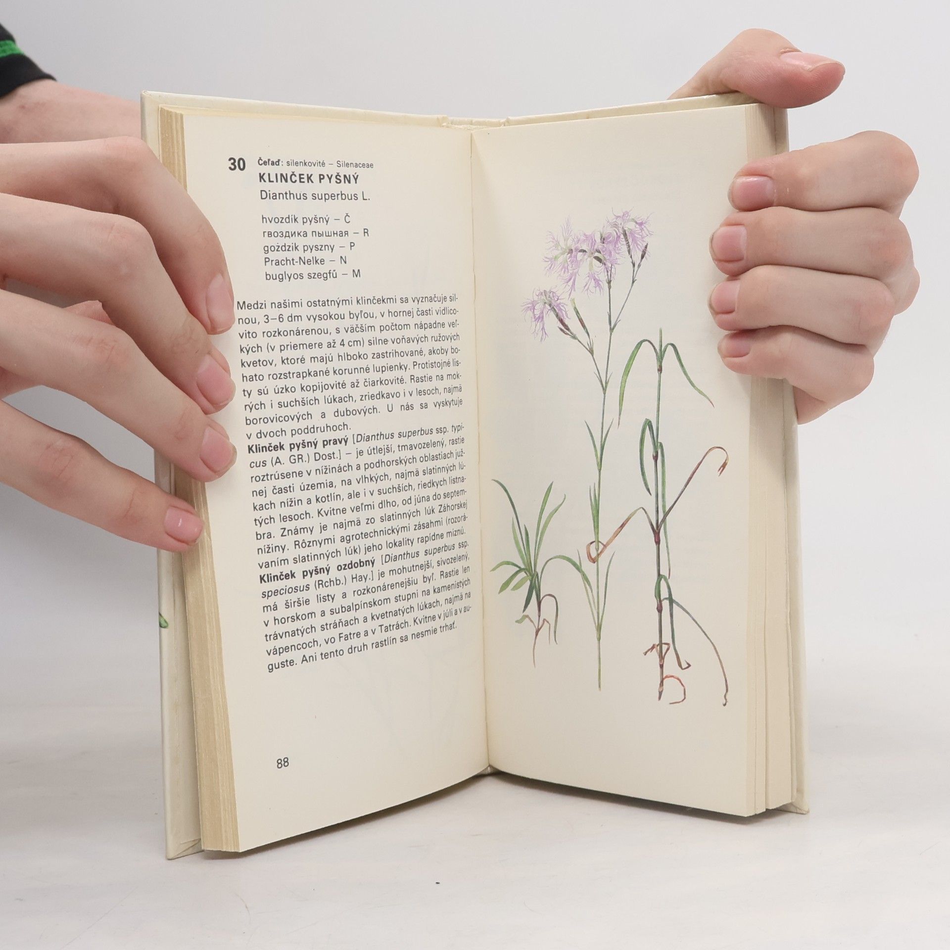 Dezider Magic Atlas chránených rastlín. Obrázková kvetena Slovenska