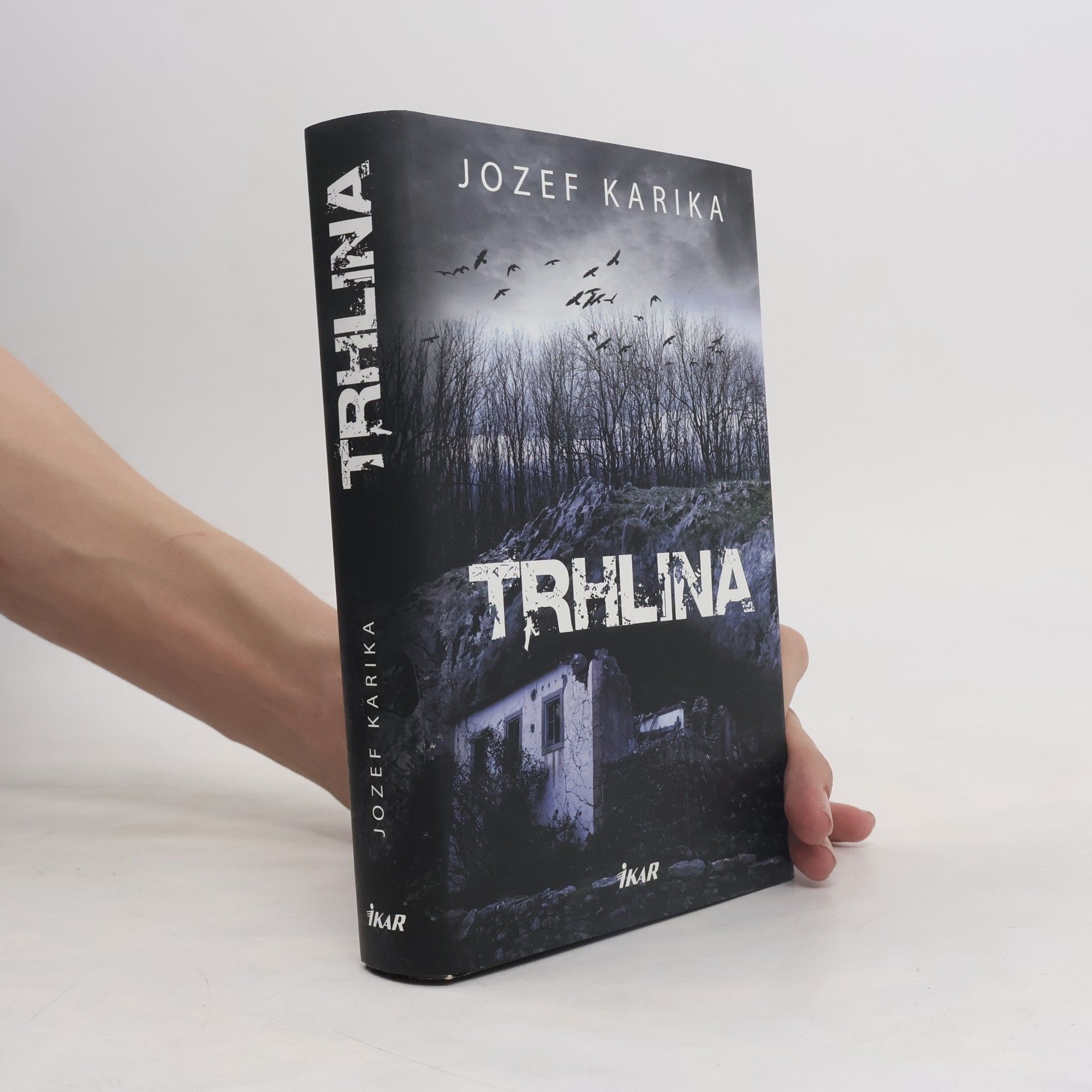 Jozef Karika Trhlina