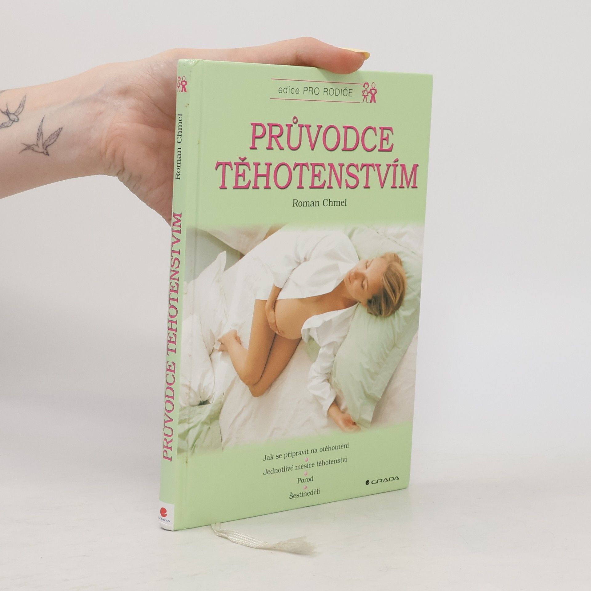 Roman Chmel Průvodce těhotenstvím: Jak se připravit na otěhotnění, jednotlivé měsíce těhotenství, porod, šestinedělí