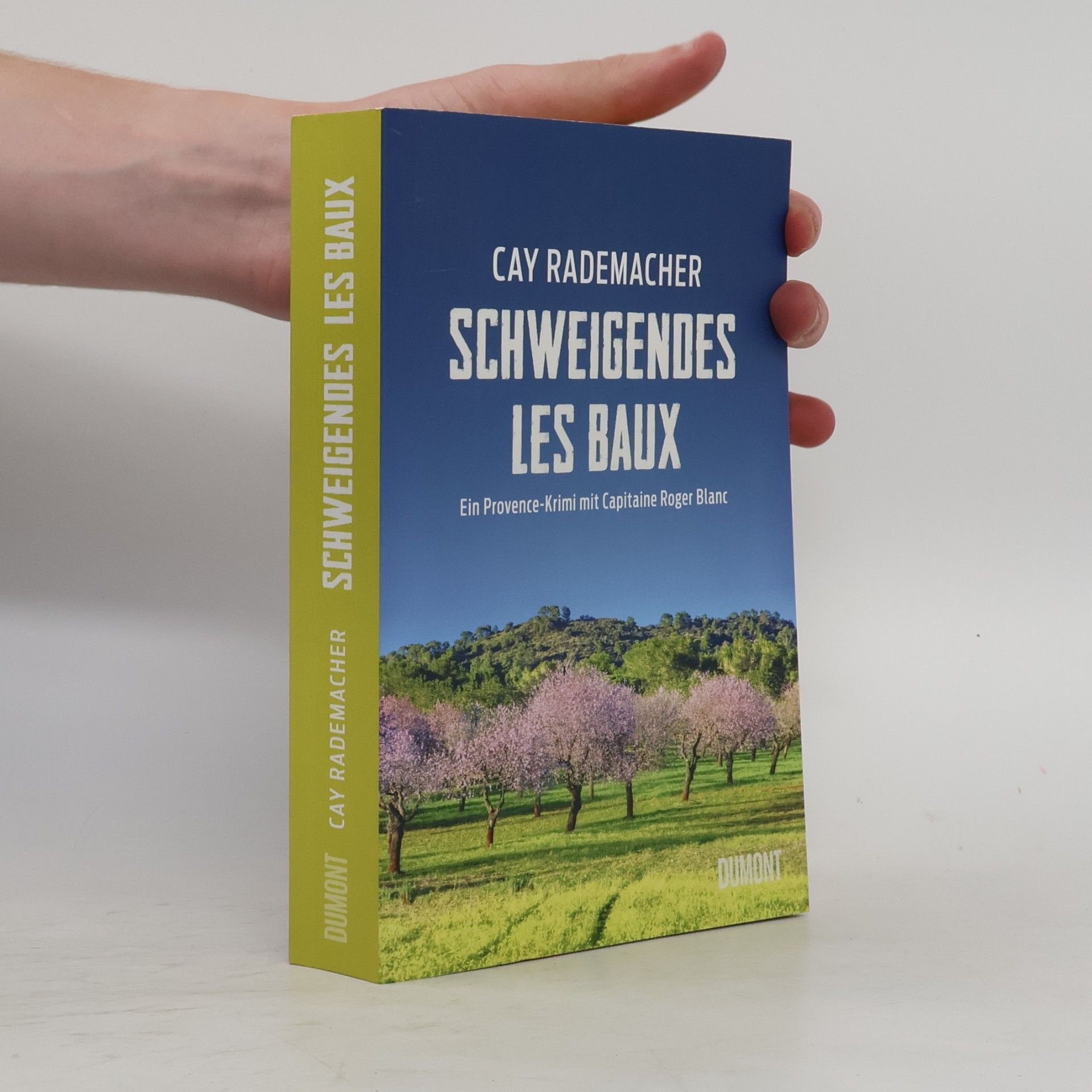 Cay Rademacher Schweigendes Les Baux