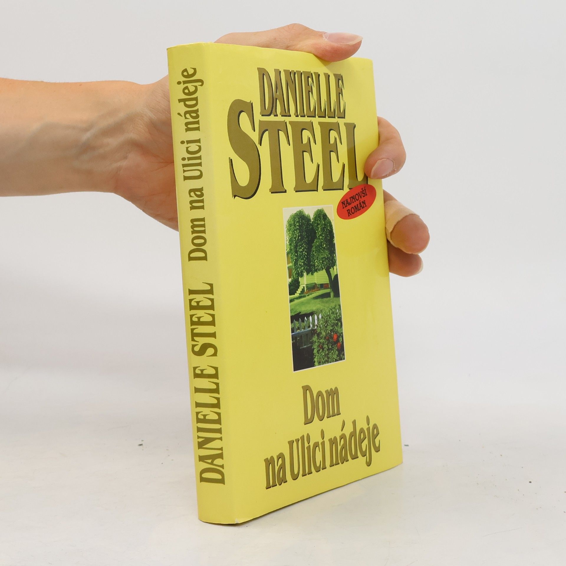 Danielle Steel Dom na Ulici nádeje