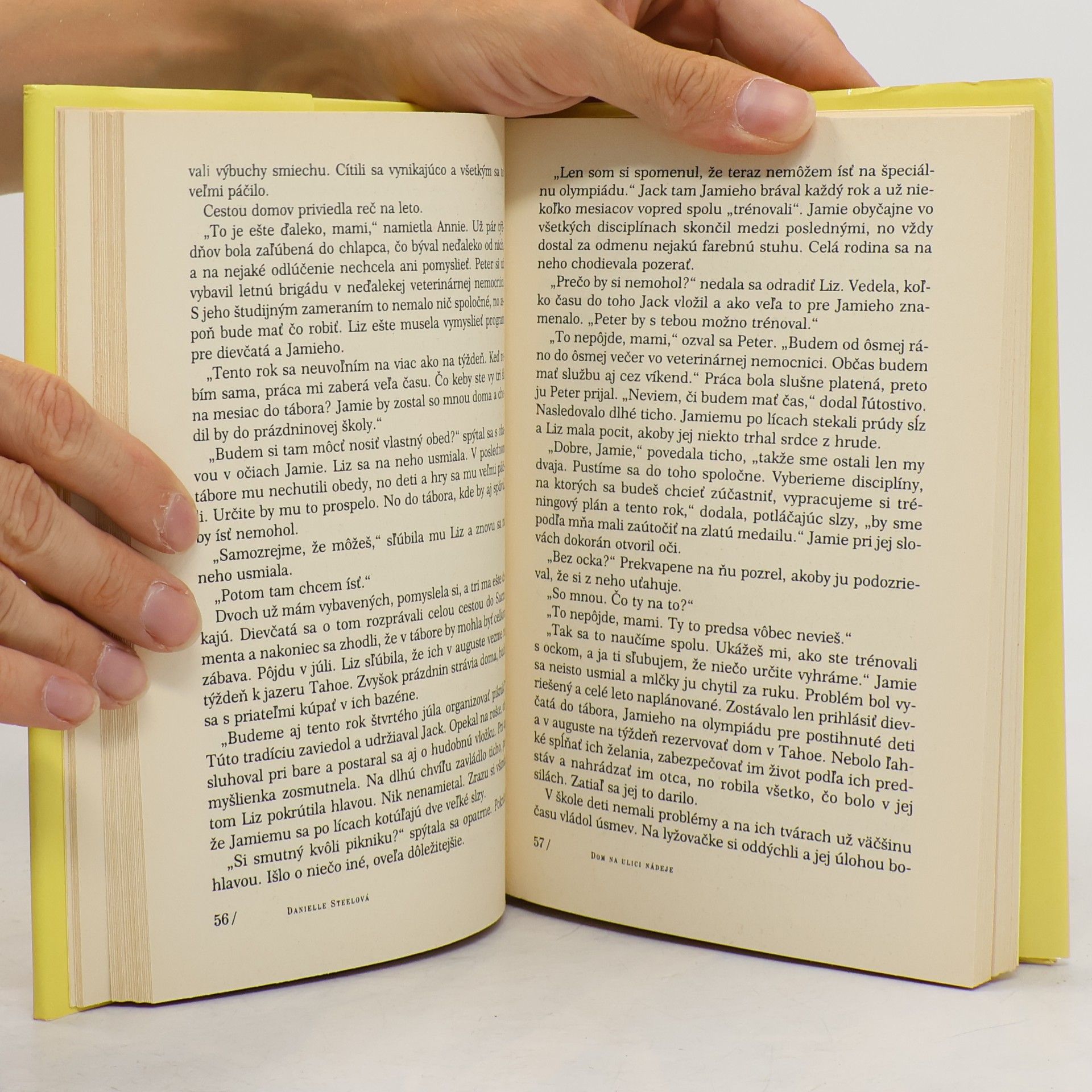 Danielle Steel Dom na Ulici nádeje