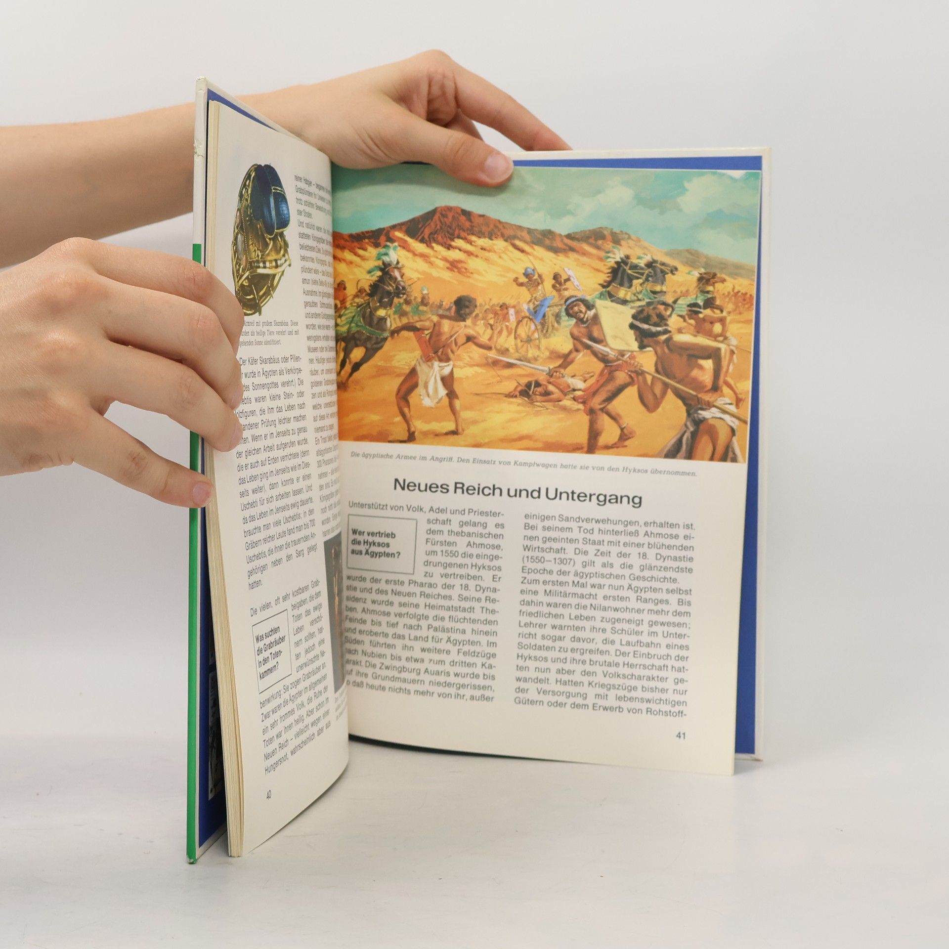 Dieter Kurth Das Alte Ägypten