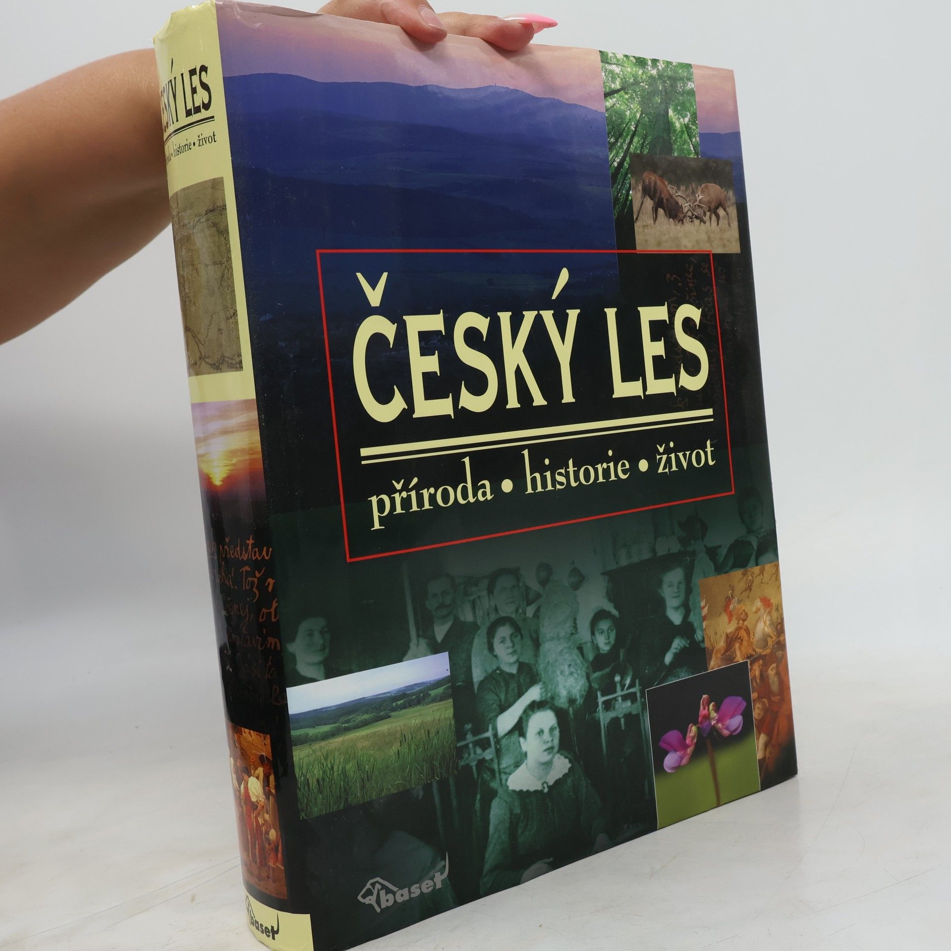 Vladislav Dudák Český les