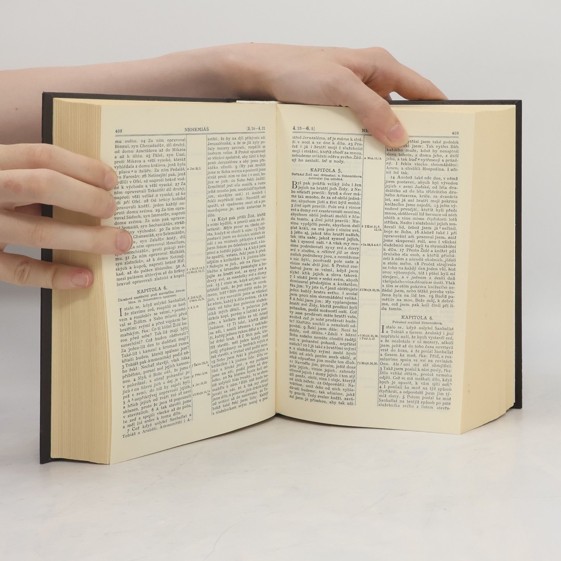 Autorenkollektiv Bible svatá aneb všecka svatá písma Starého i Nového zákona