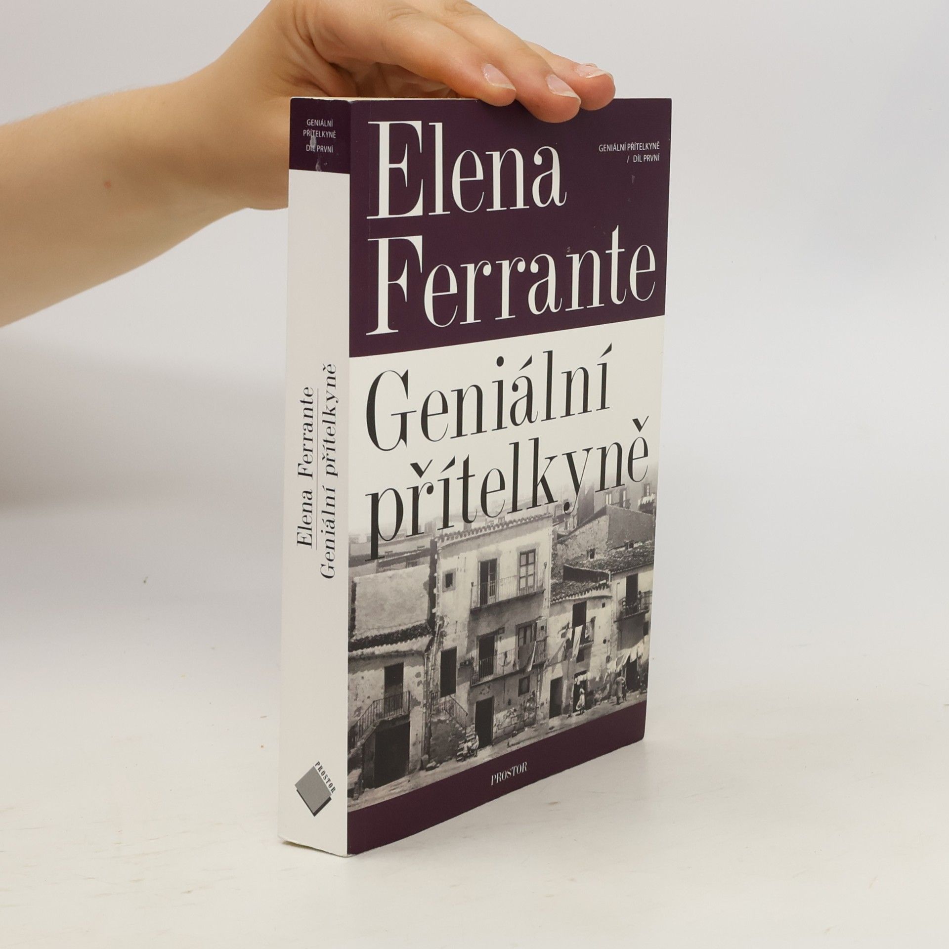 Elena Ferrante Geniální přítelkyně 1. Dětství a dospívání