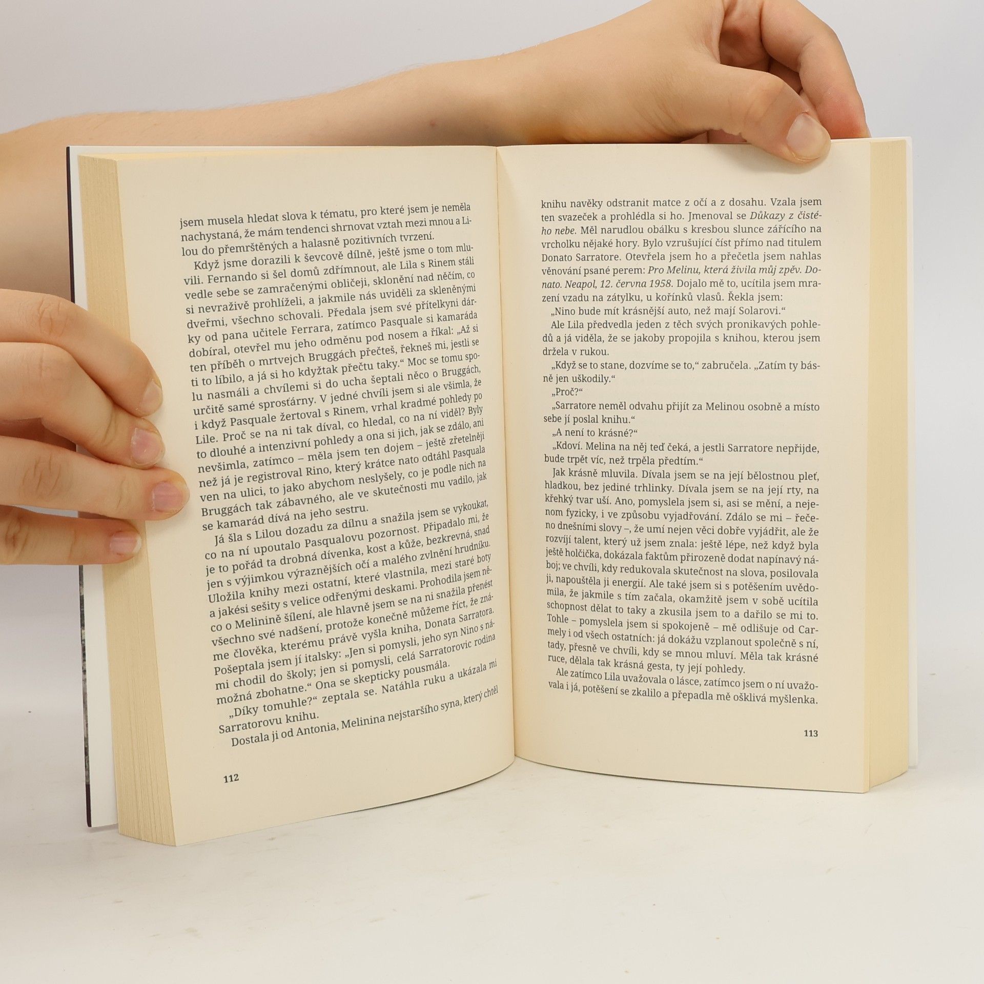 Elena Ferrante Geniální přítelkyně 1. Dětství a dospívání