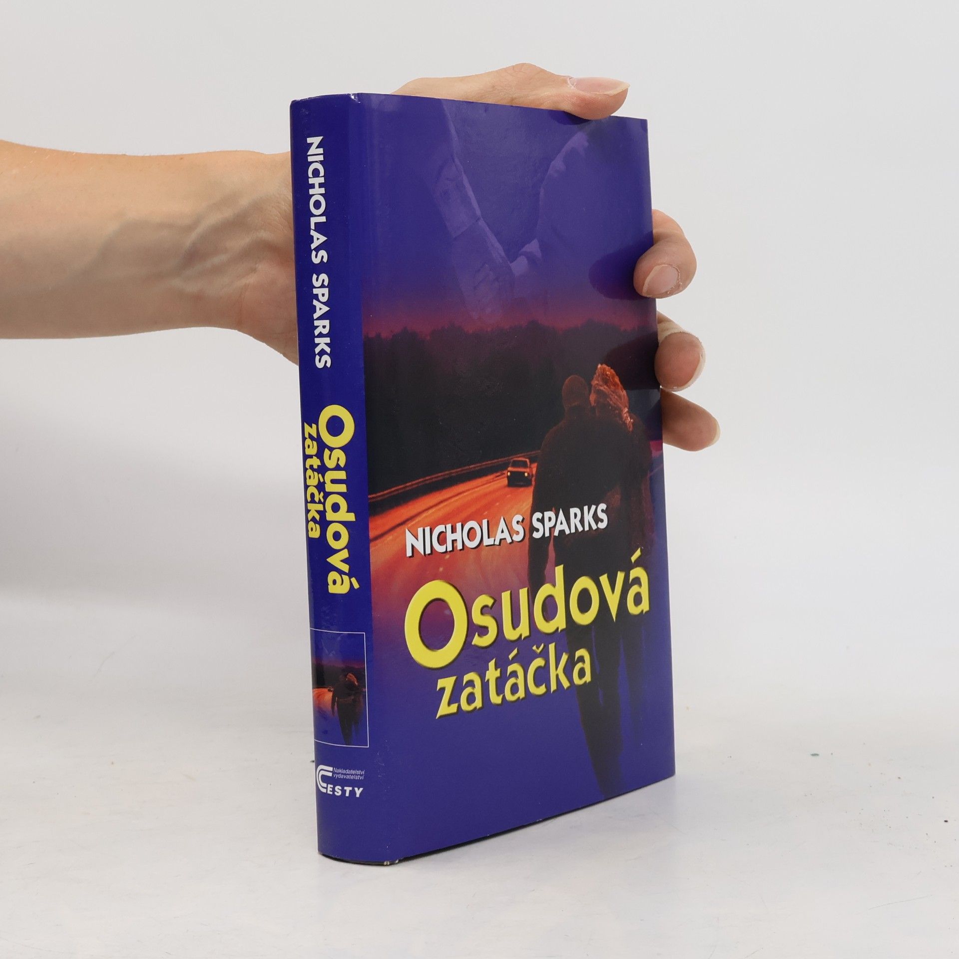 Nicholas Sparks Osudová zatáčka