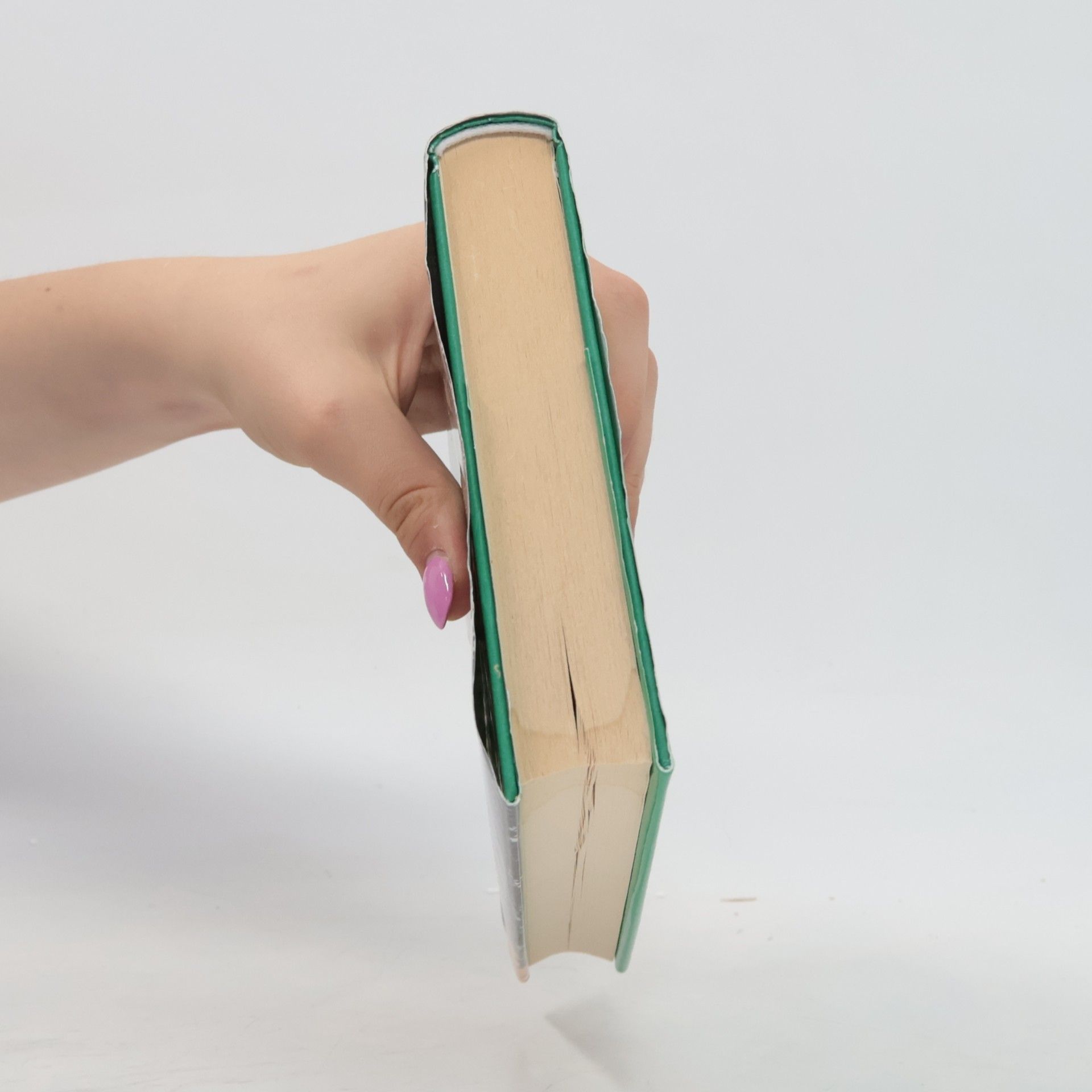 Kristin Hannah Zpátky domů