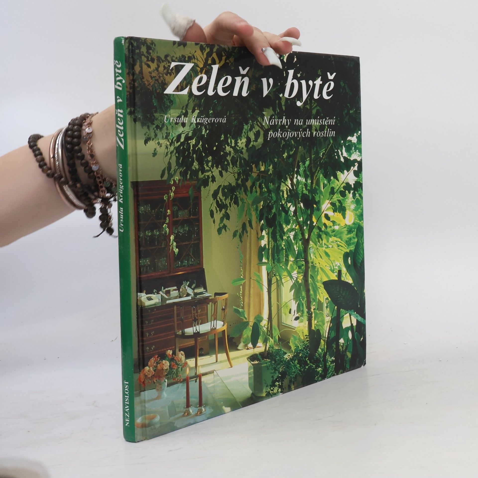 Ursula Krueger Zeleň v bytě. Návrhy na umístění pokojových rostlin
