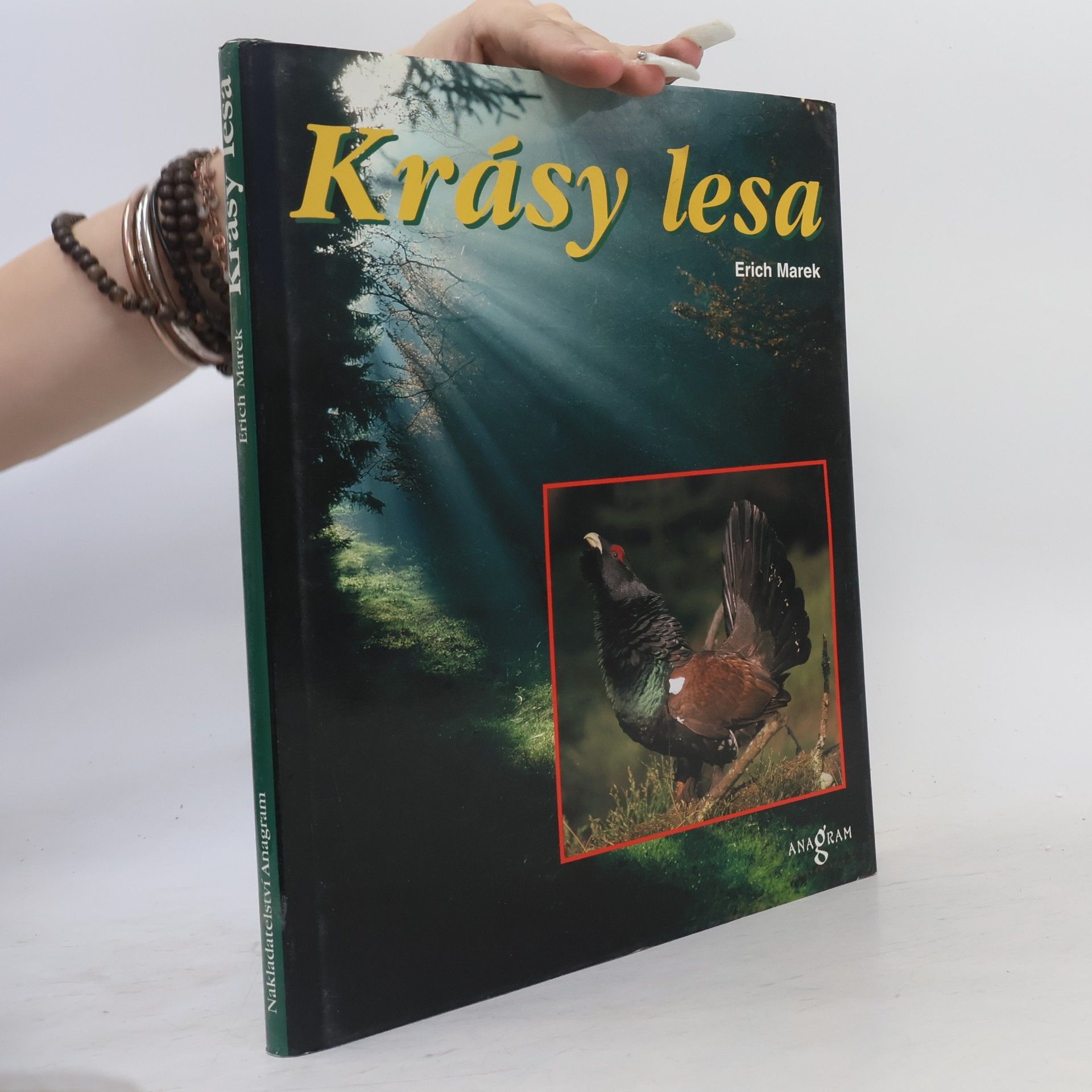 Werner Stoll Krásy lesa