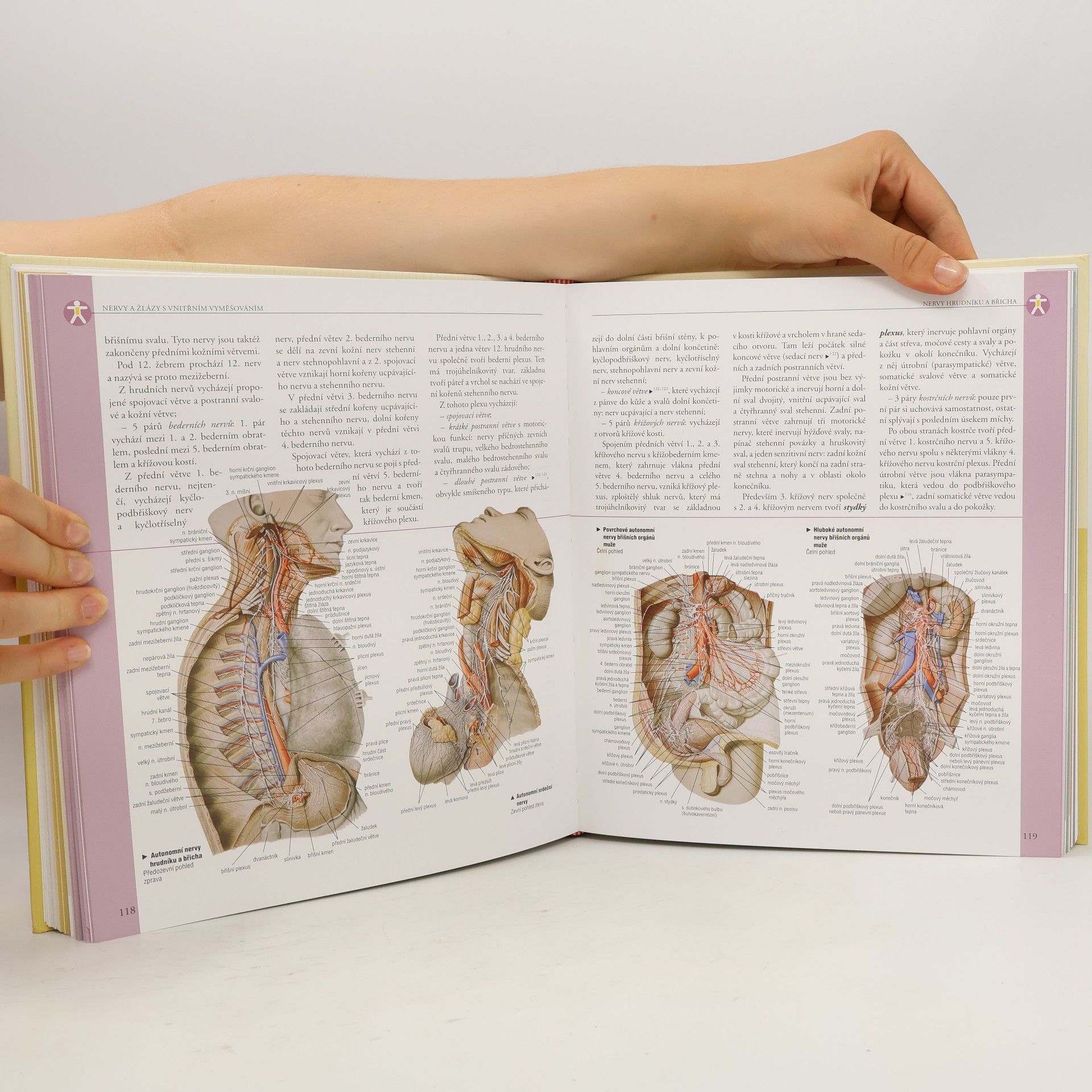 Adriana Rigutti Ilustrovaný atlas anatomie