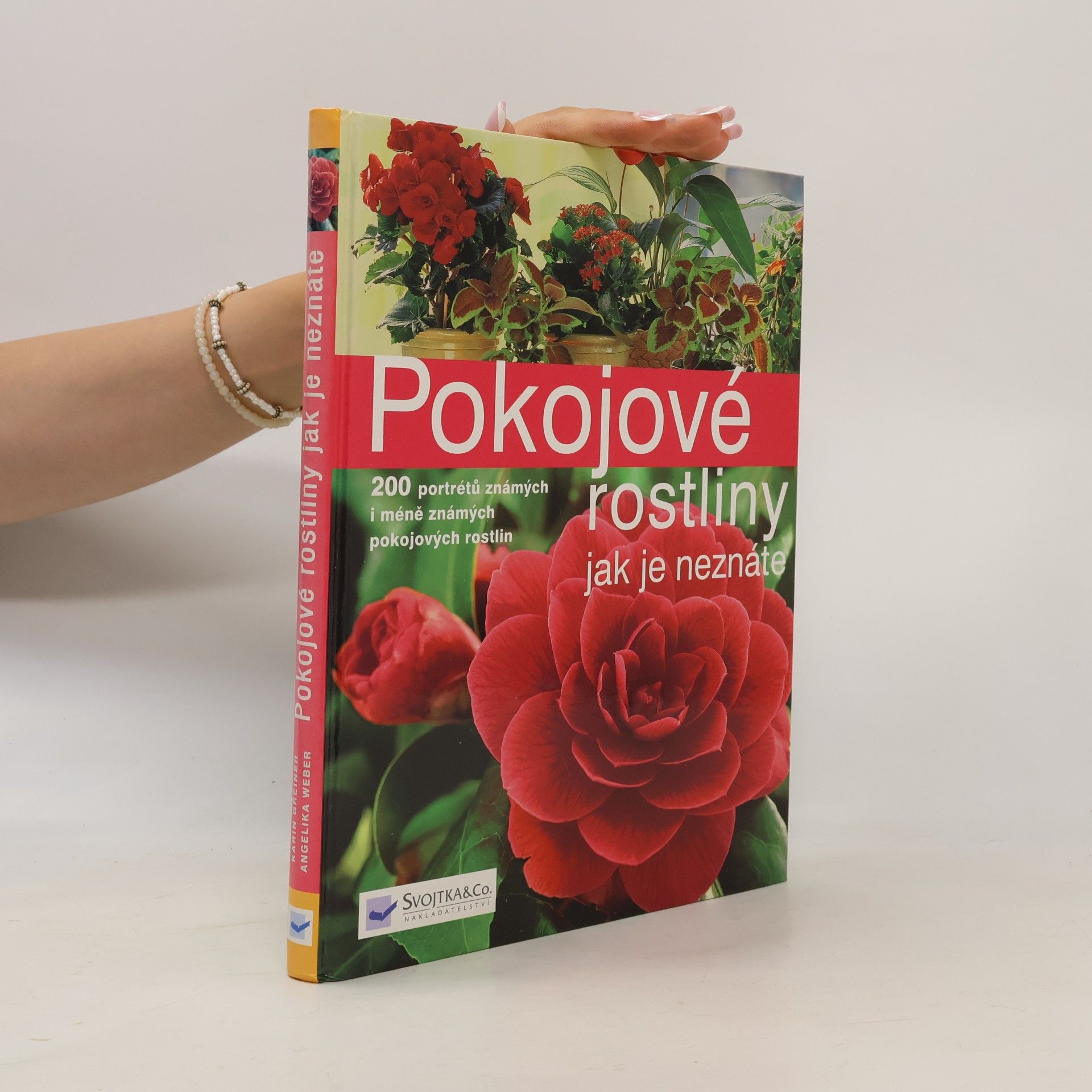 Pokojové rostliny jak je neznáte