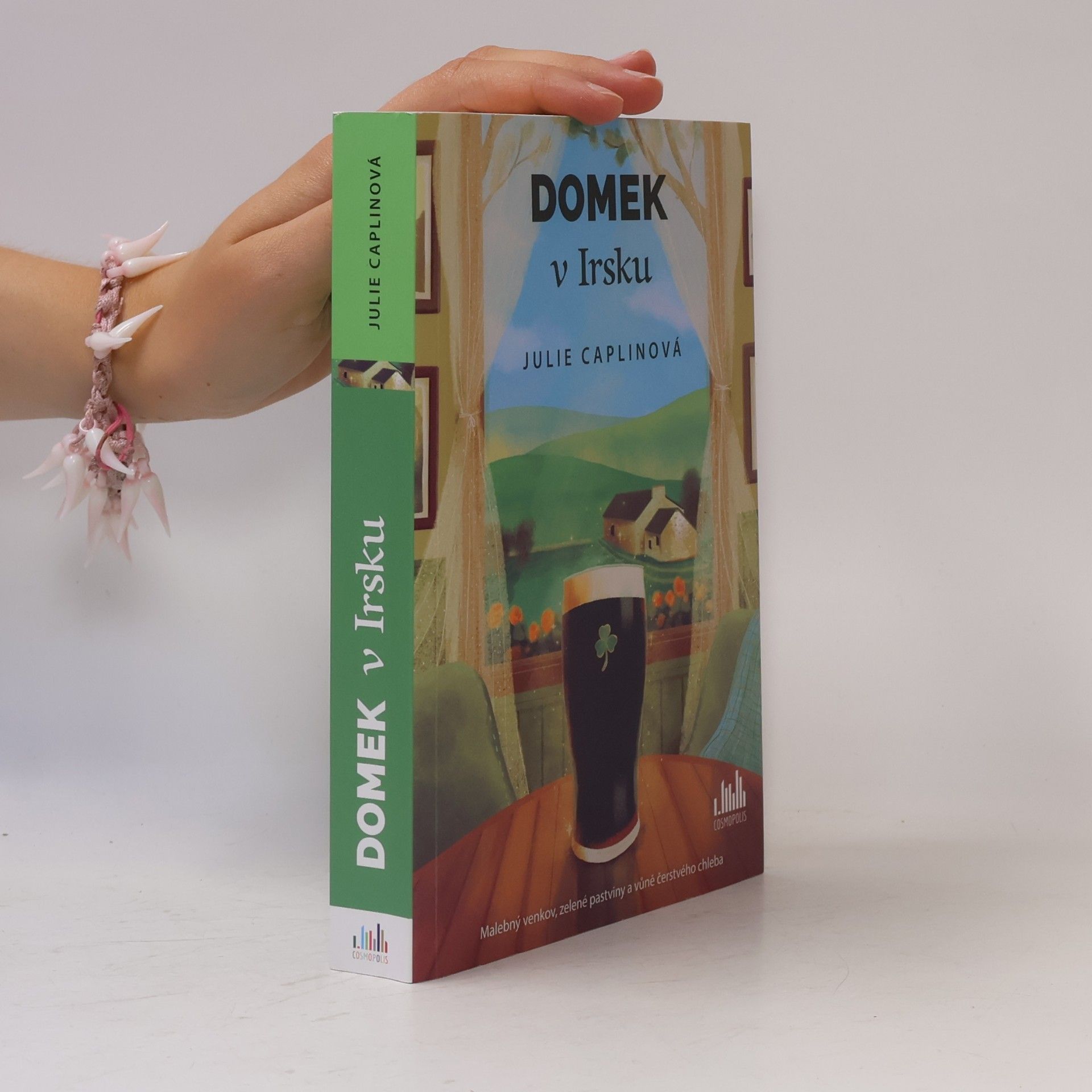 Domek v Irsku