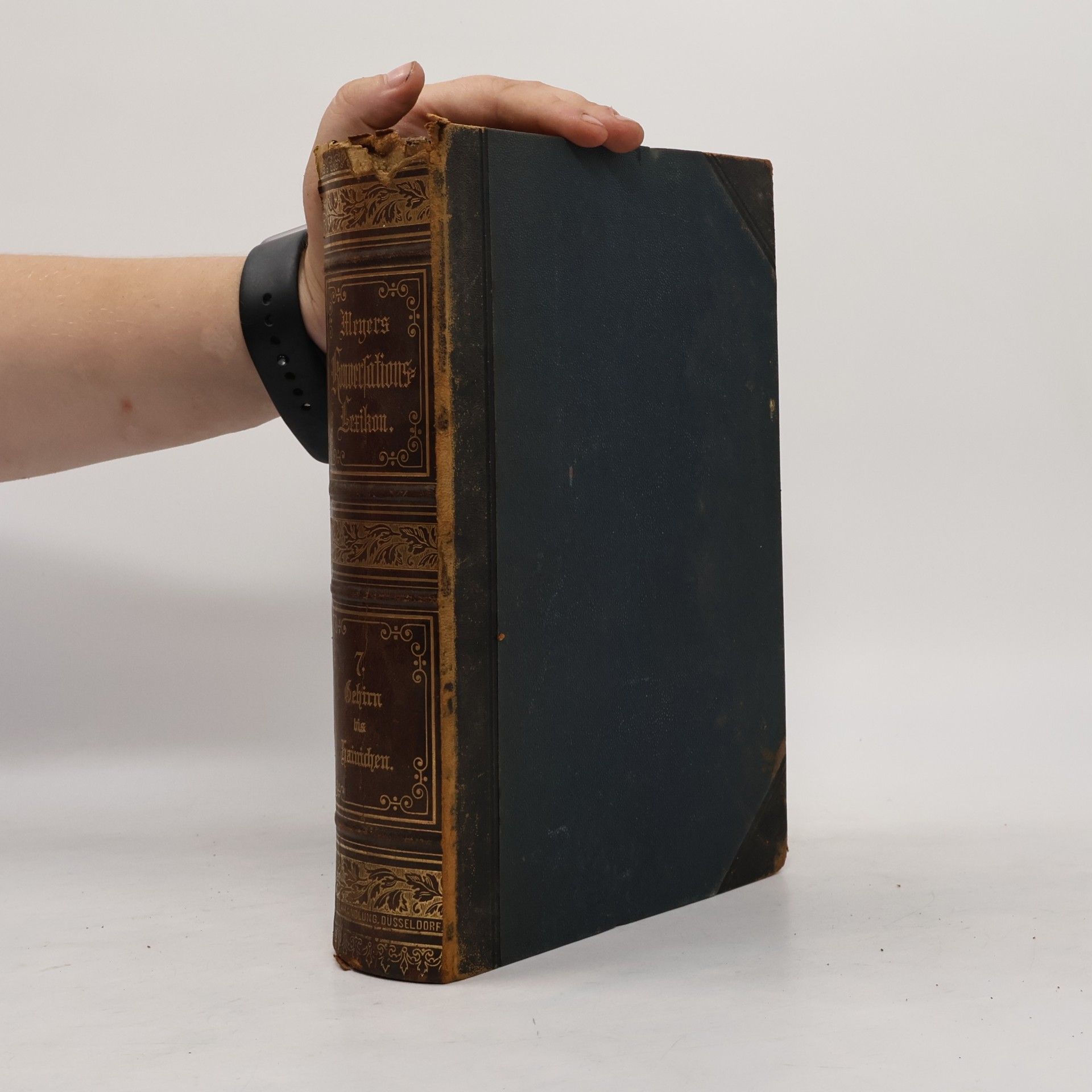 Autores varios Meyers Konversations-Lexikon 7. Gehirn–Hainichen