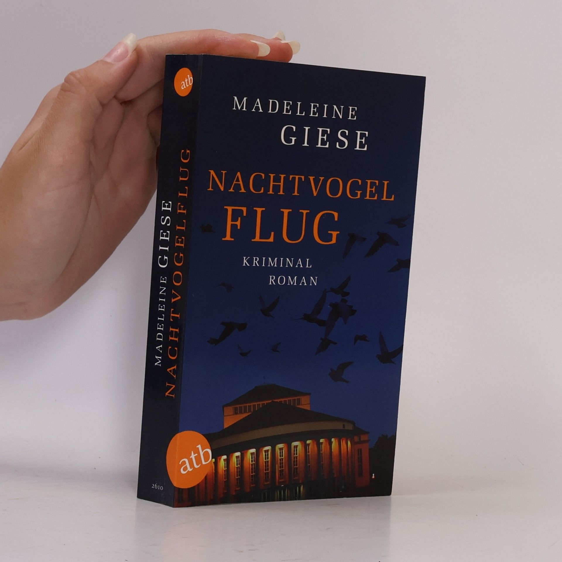 Madeleine Giese Nachtvogelflug