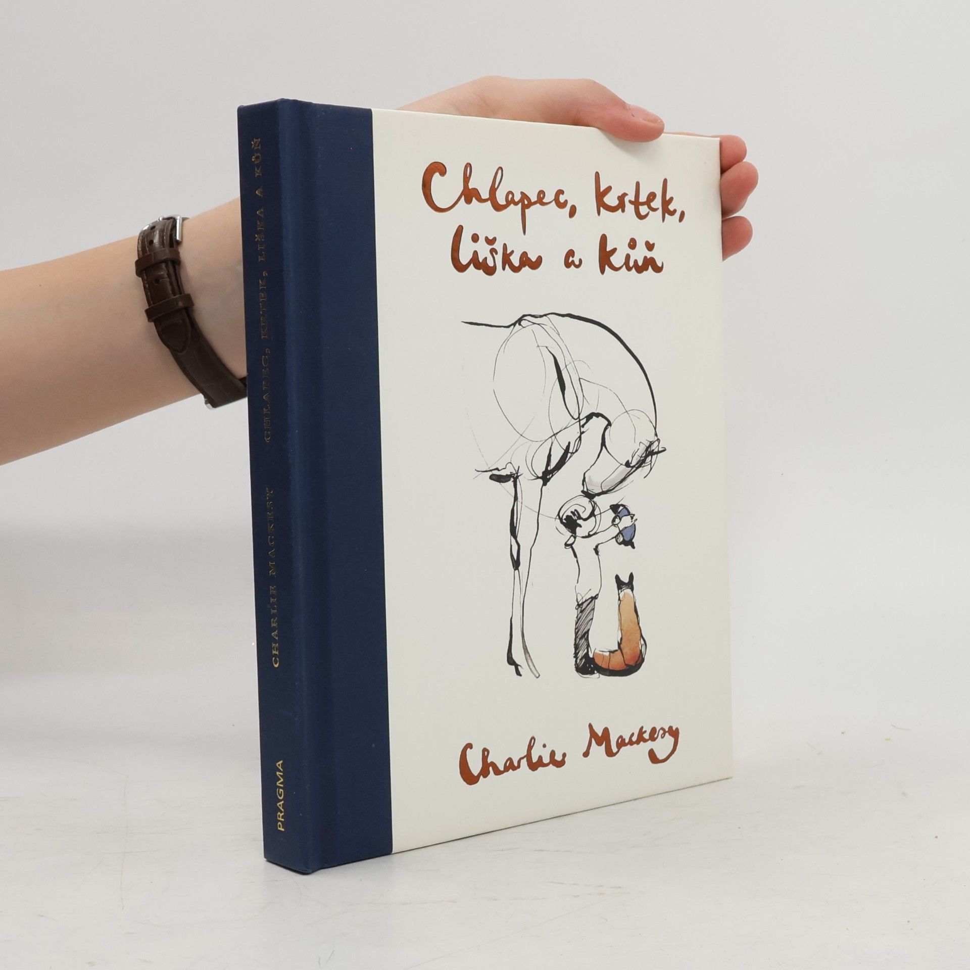 Charlie Mackesy Chlapec, krtek, liška a kůň