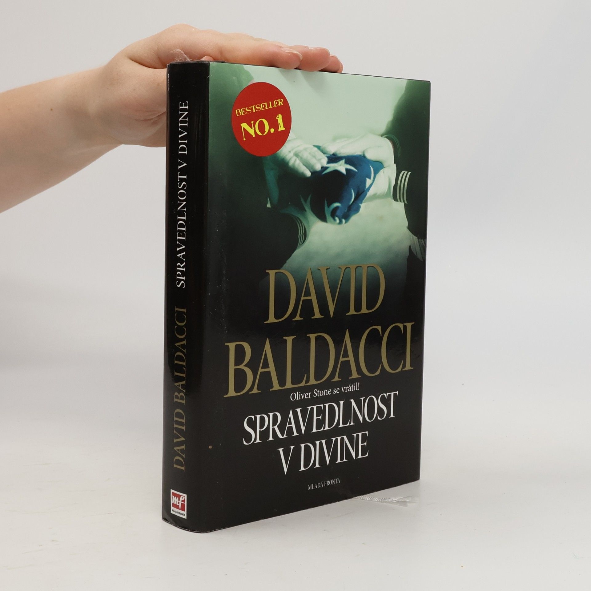 David Baldacci Spravedlnost v Divine