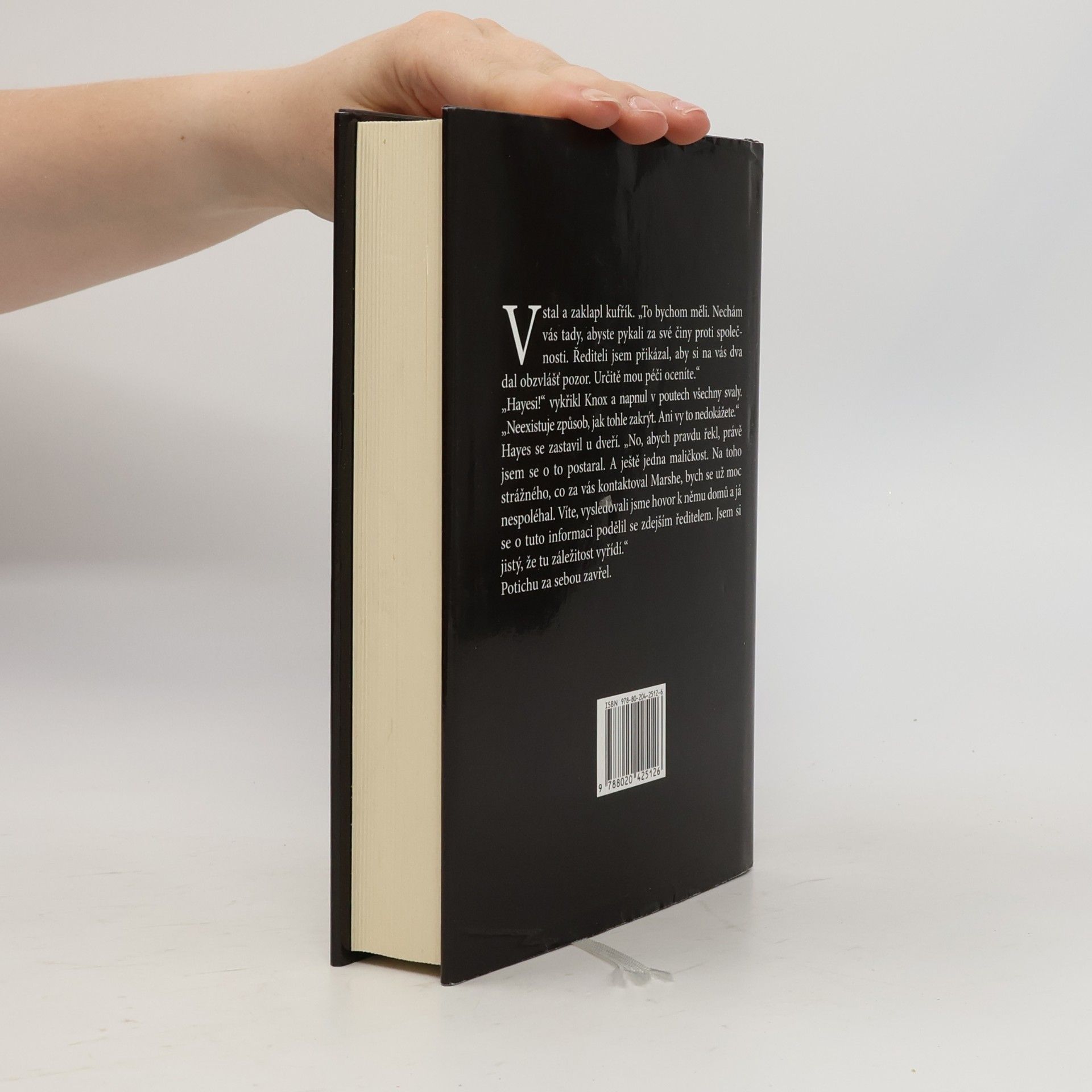 David Baldacci Spravedlnost v Divine