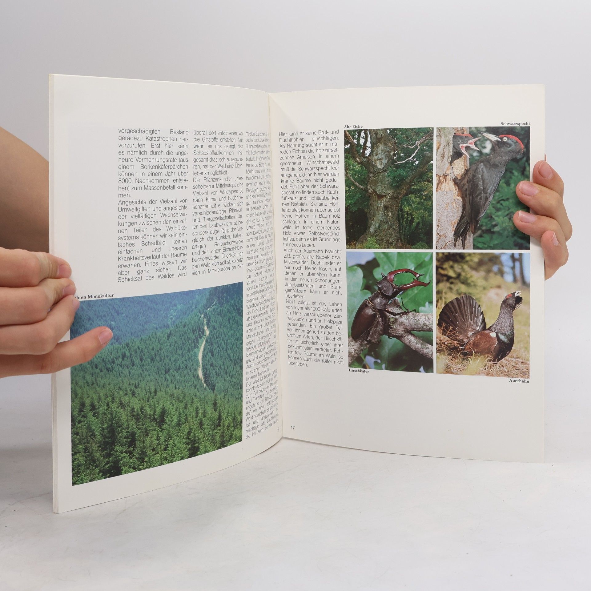 Autorenkollektiv Wir alle brauchen die Natur