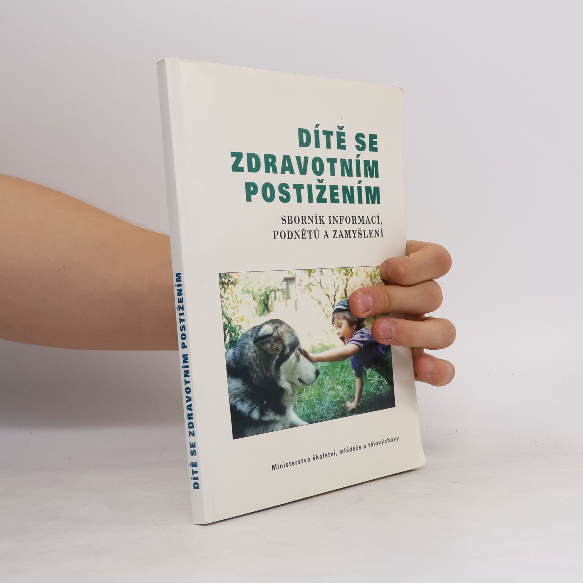 Kolektív autorov Dítě se zdravotním postižením