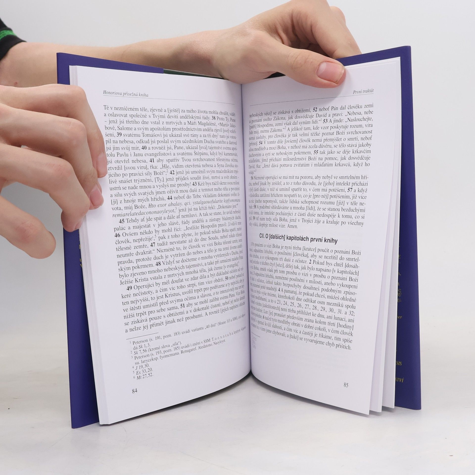 Autorenkollektiv Honoriova přísežná kniha