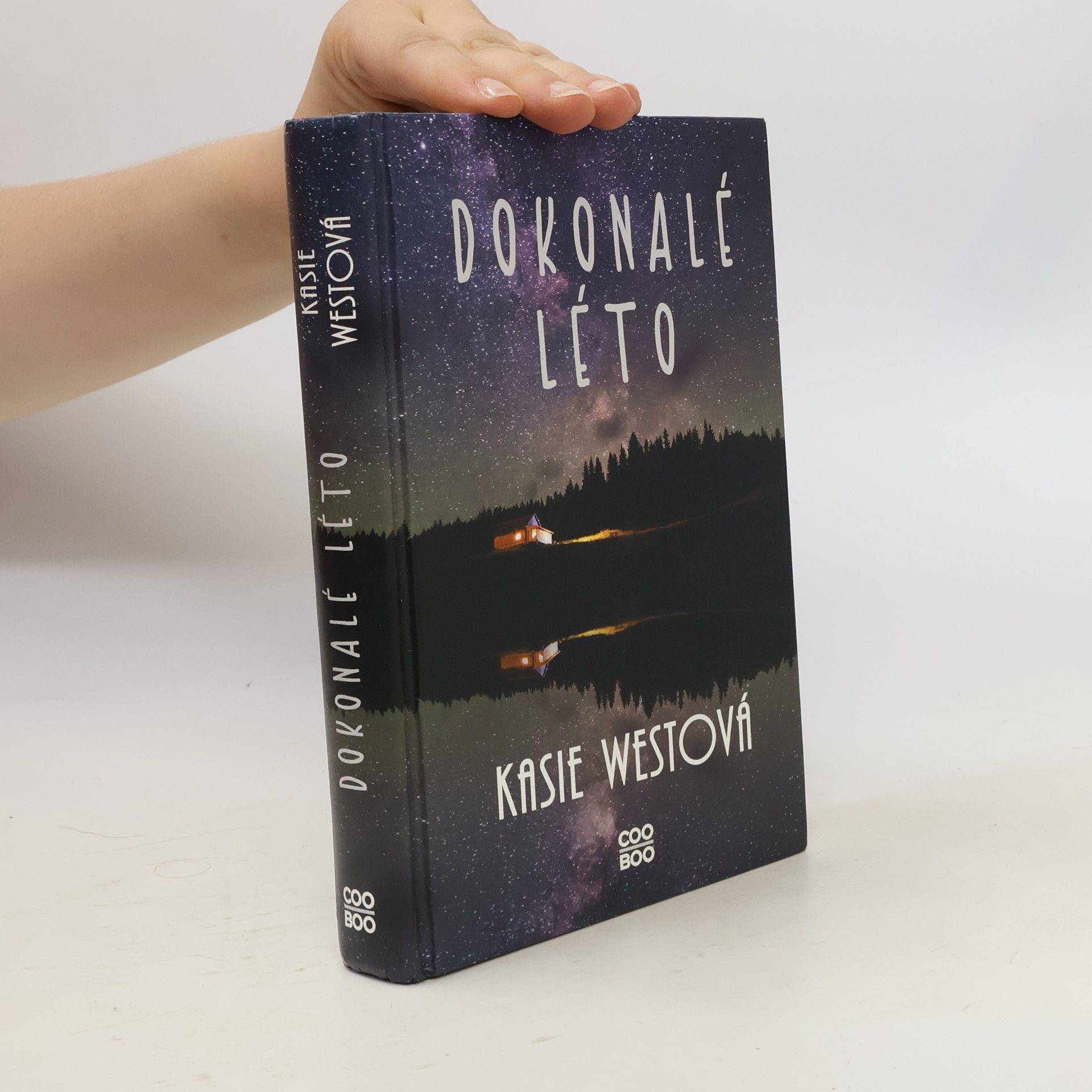 Kasie West Dokonalé léto