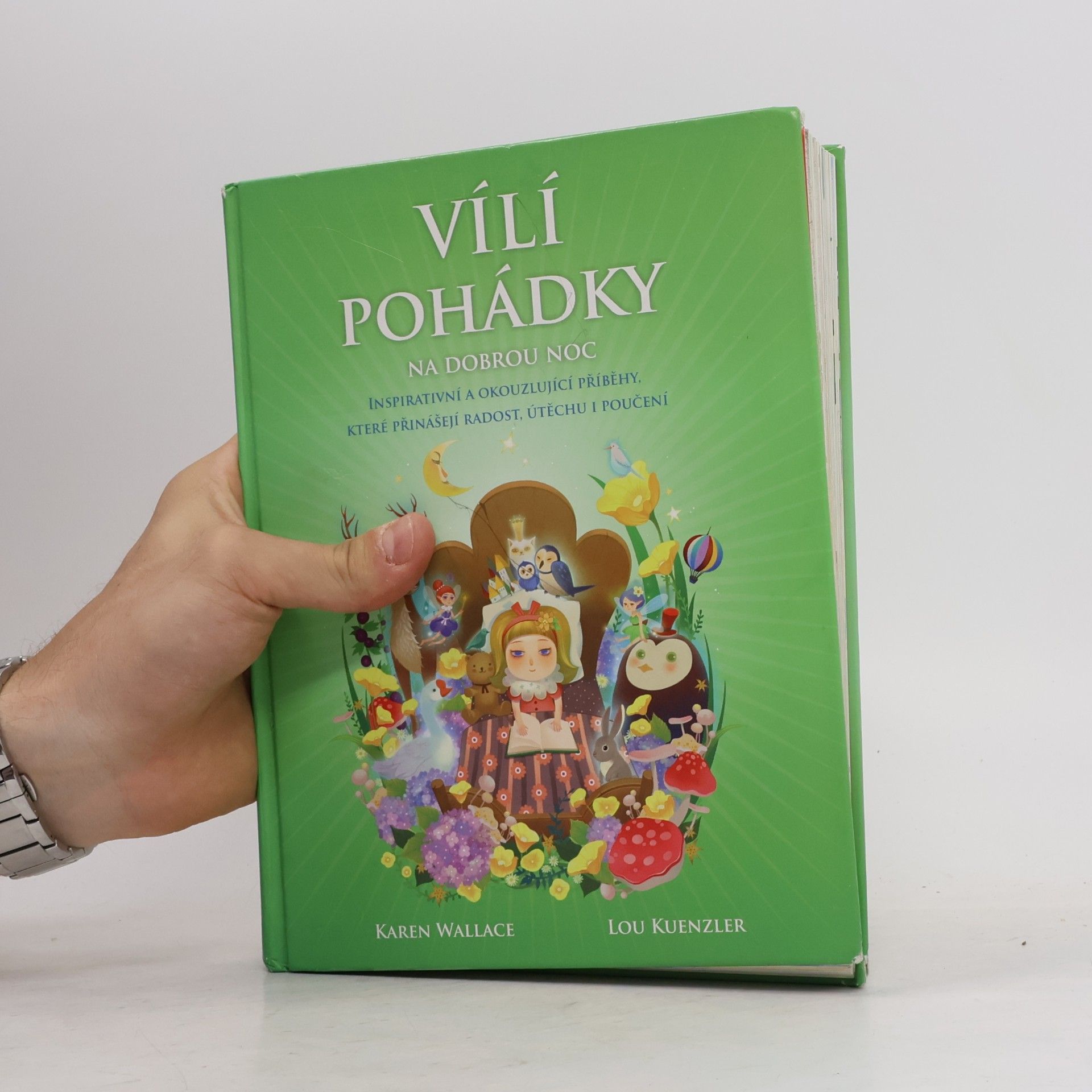 Karen Wallace Vílí pohádky na dobrou noc