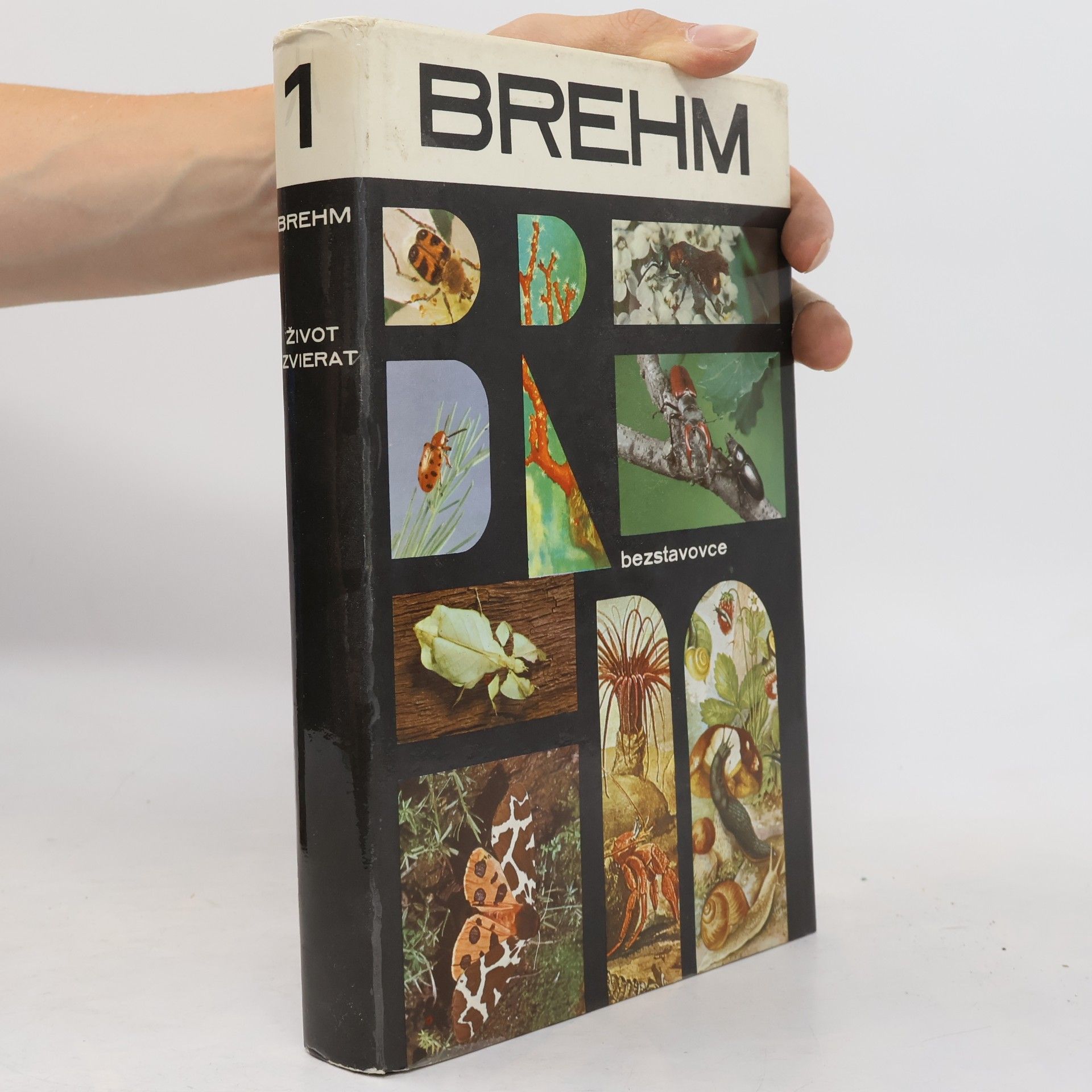 Walter Rammer Brehm Život zvierat 1. Bezstavovce