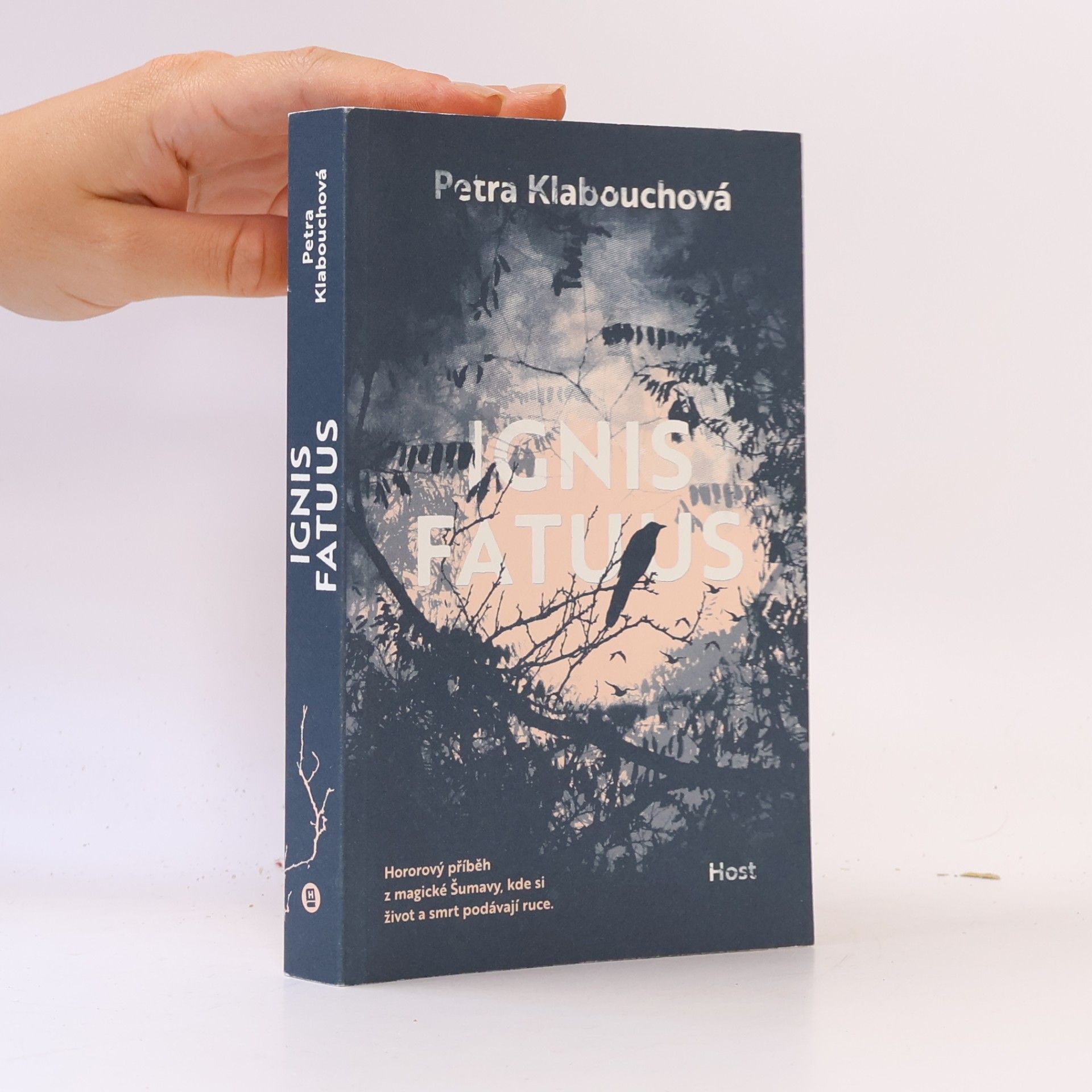 Petra Klabouchová Ignis fatuus