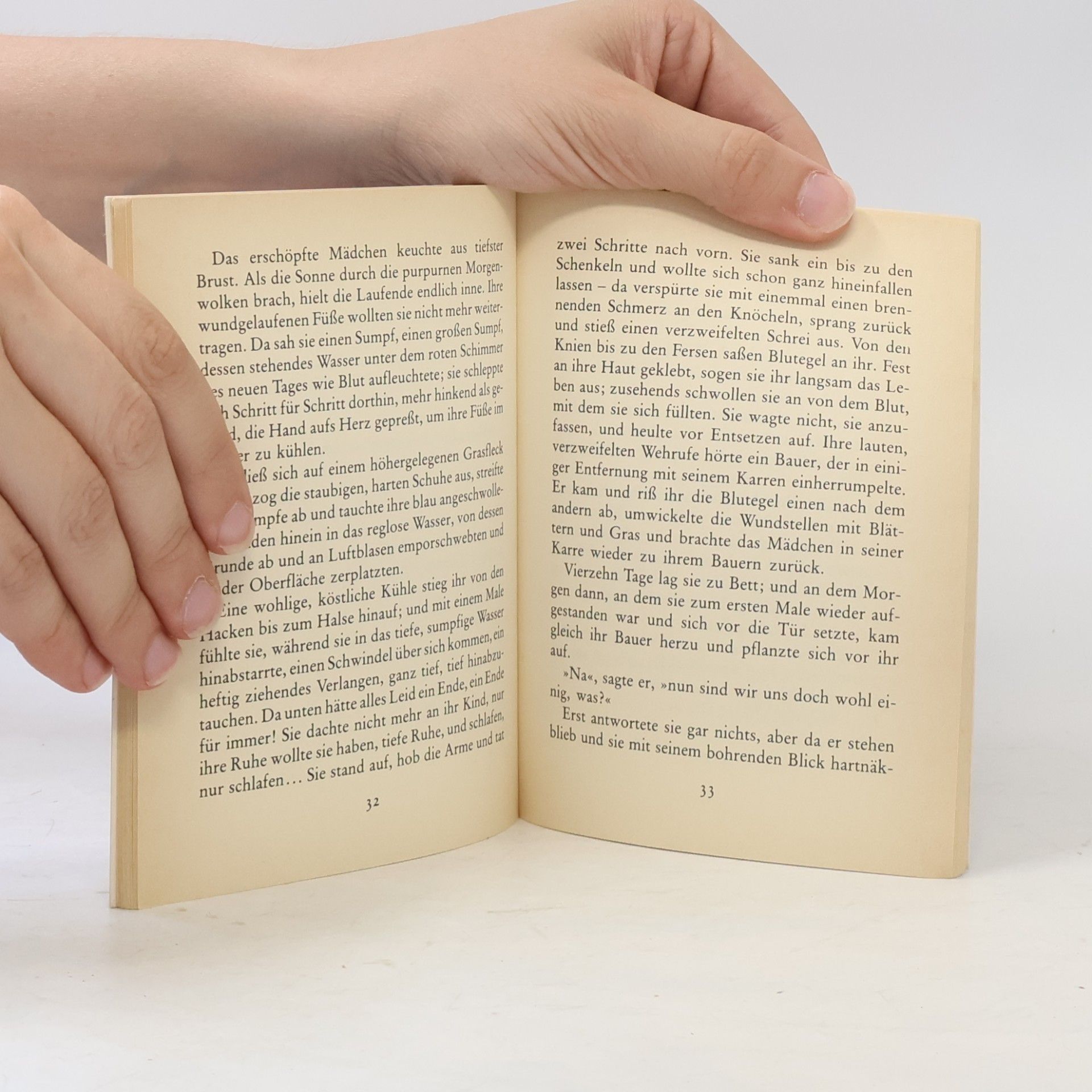Guy de Maupassant Geschichte einer Magd